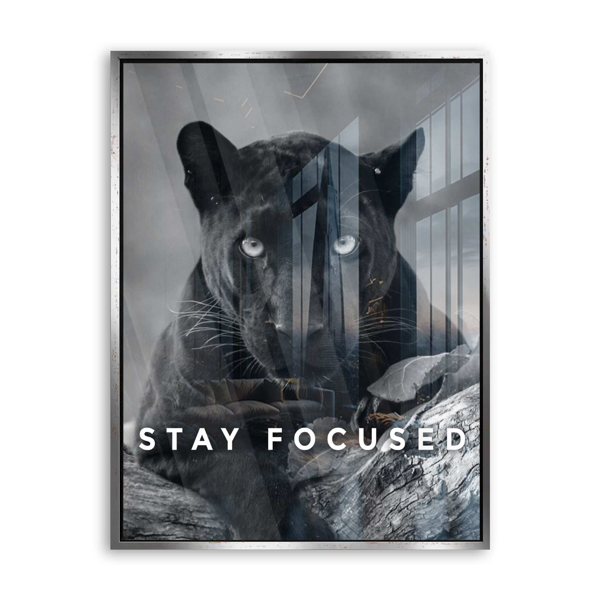 Stay Focused