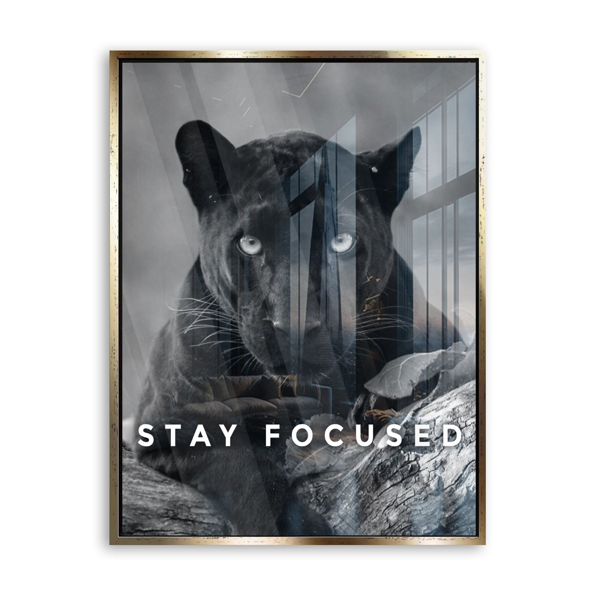 Stay Focused