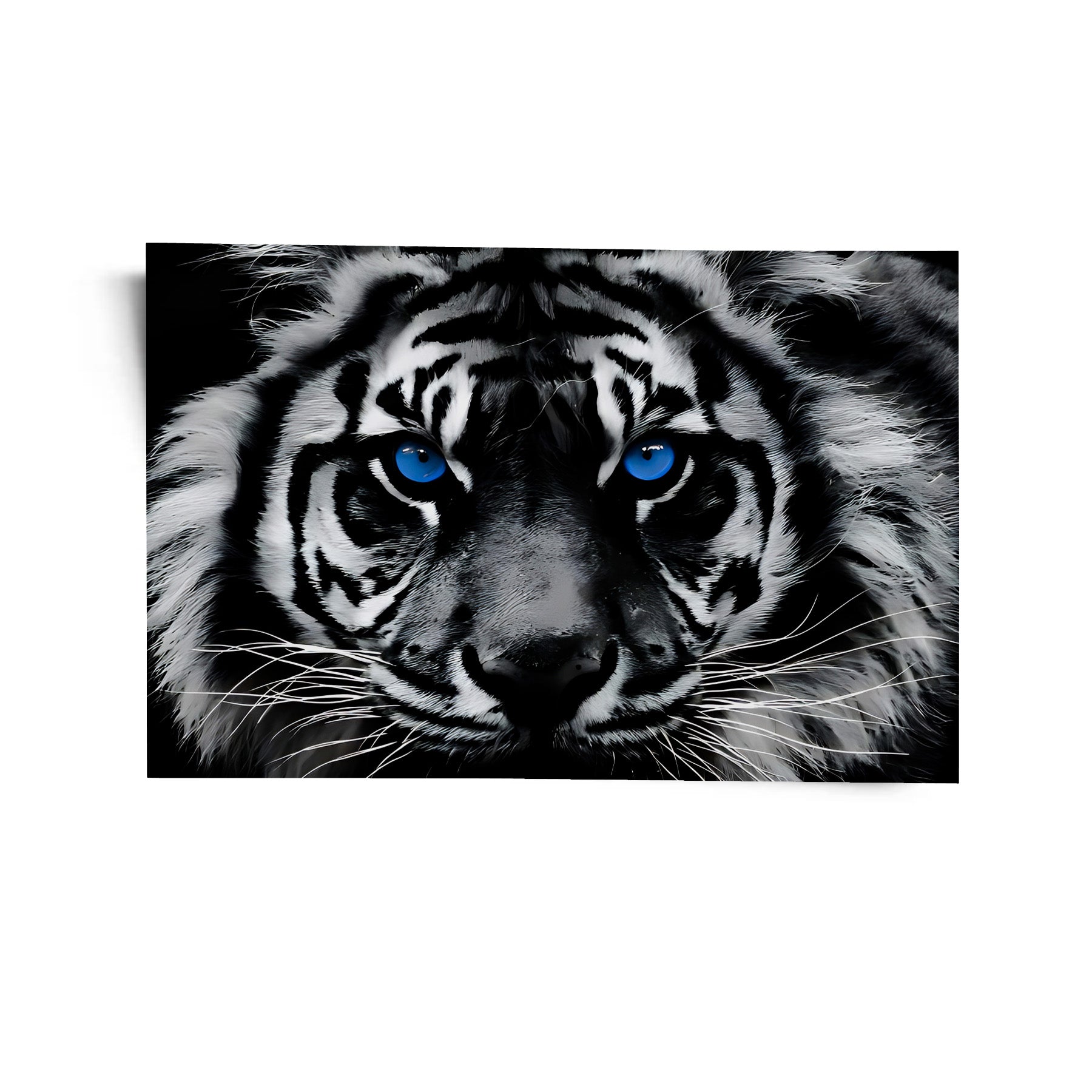Blue Eyes Tiger Canvas