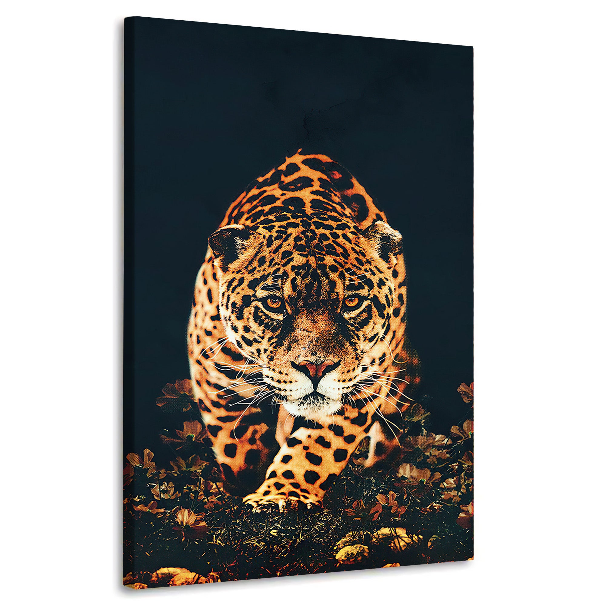 Jaguar Running Toward