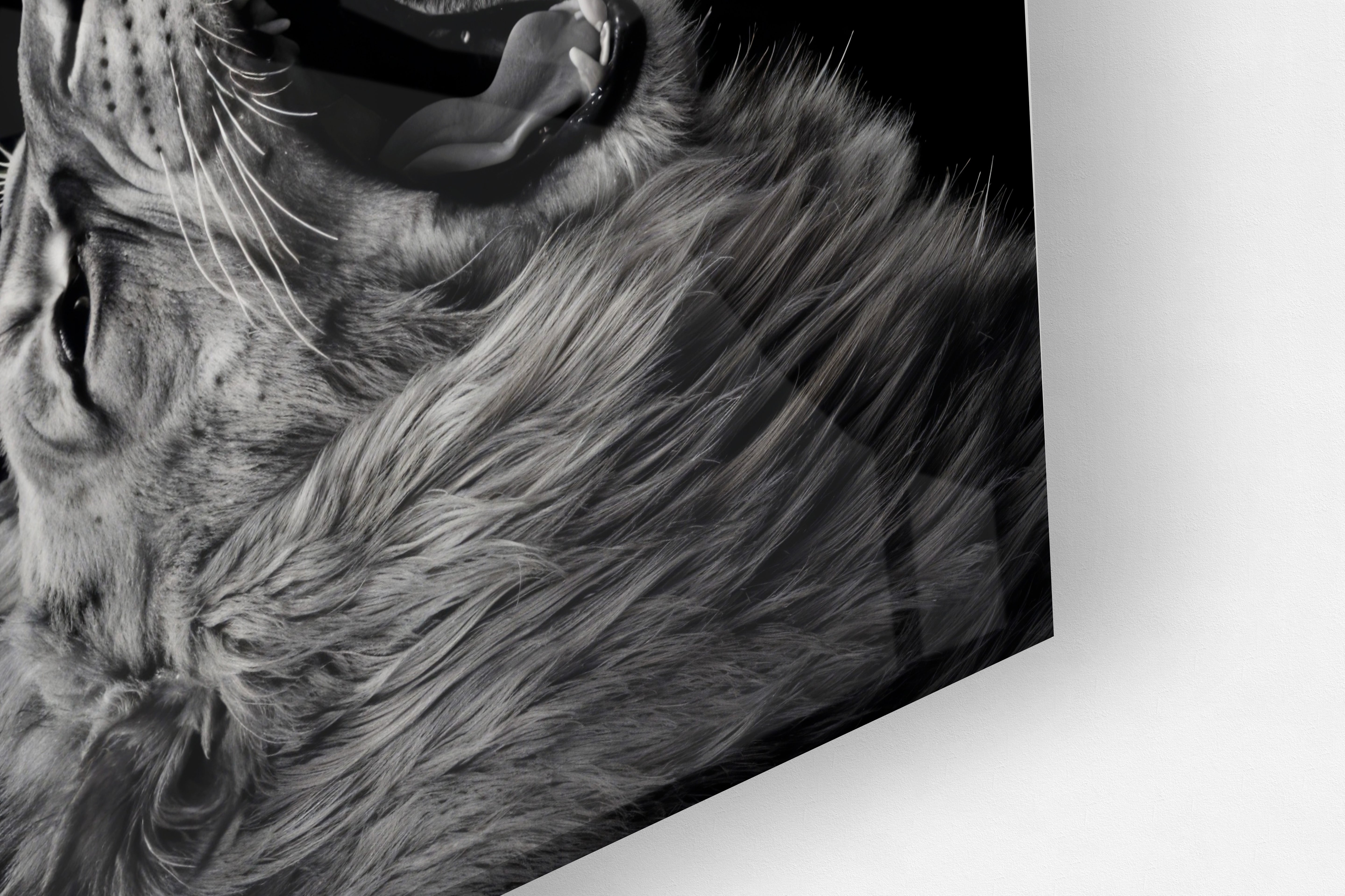 Its All Starts With A Dream - Canvas/Acrylic Glass