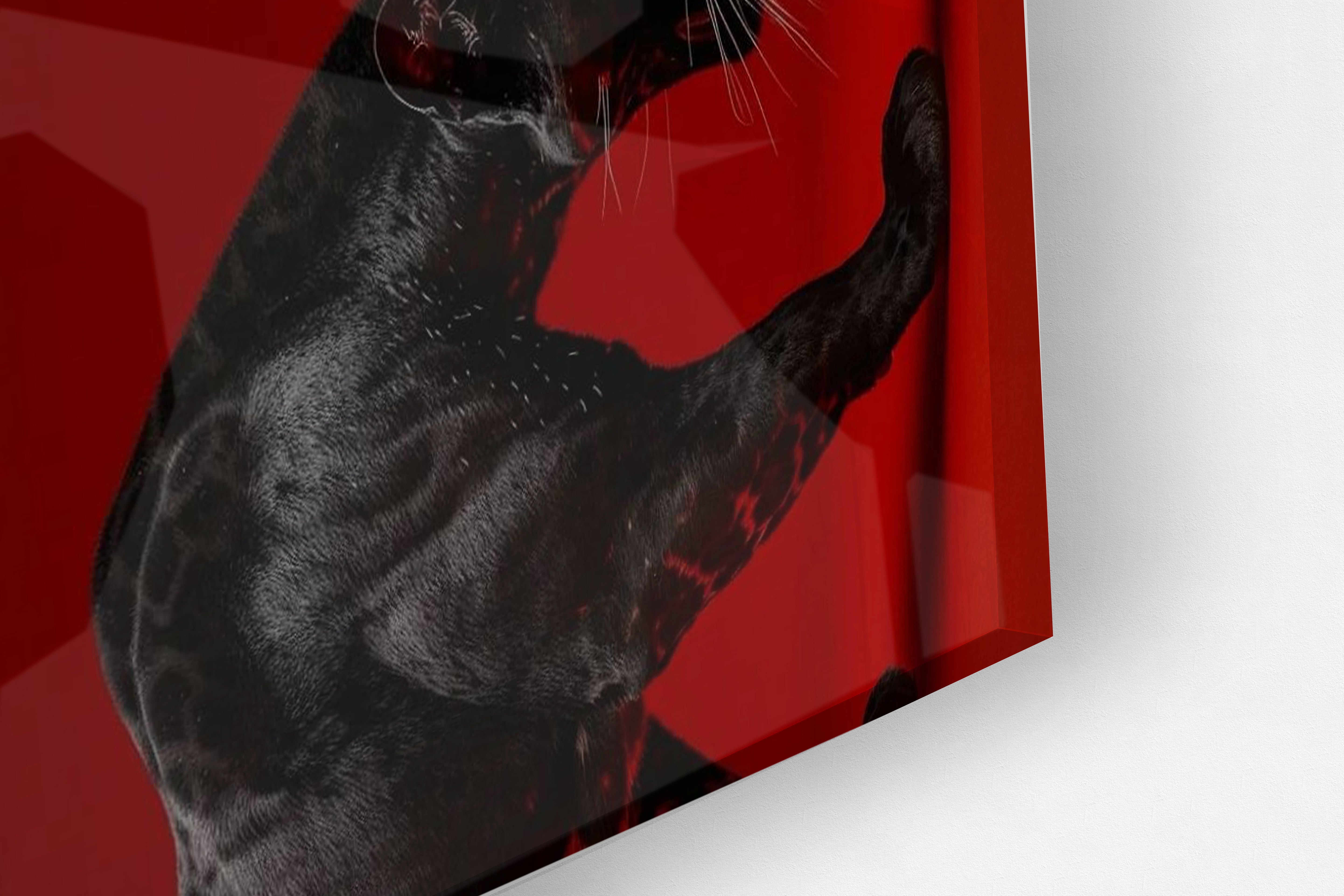 Its All Starts With A Dream - Canvas/Acrylic Glass