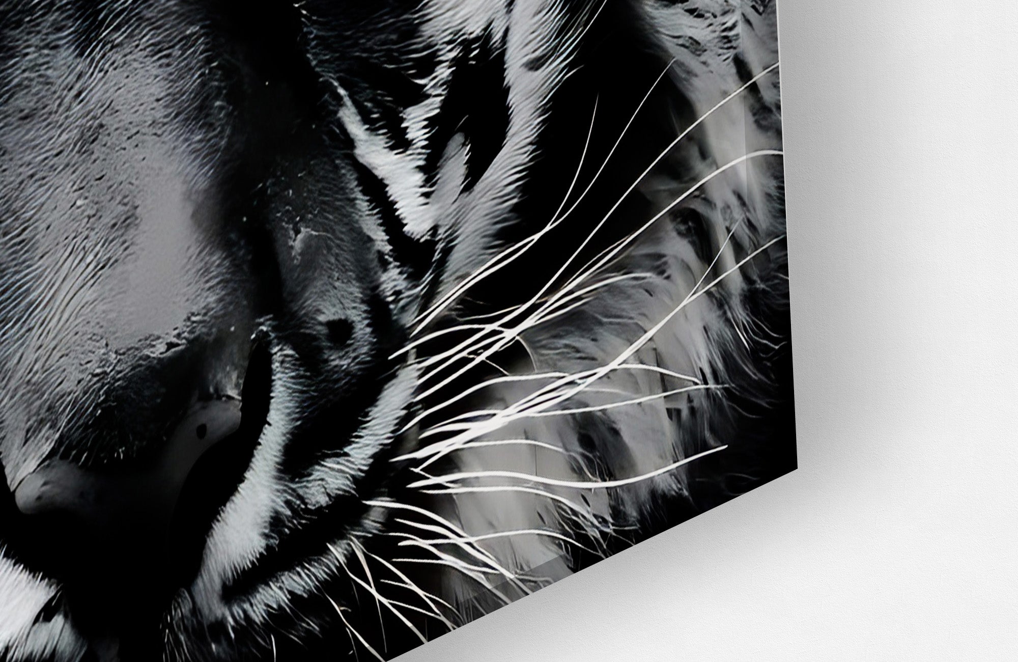 Blue Eyes Tiger Canvas