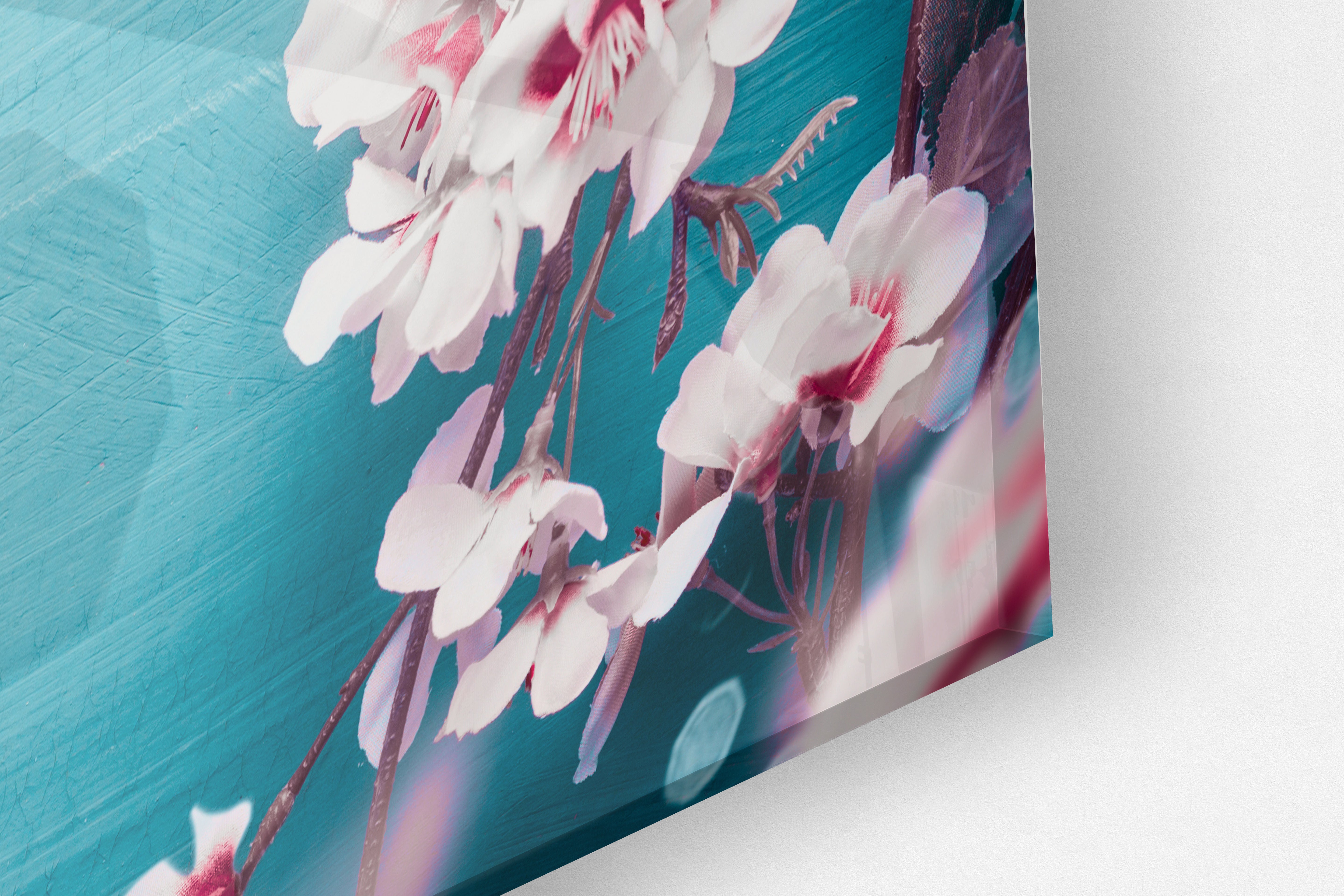 Its All Starts With A Dream - Canvas/Acrylic Glass