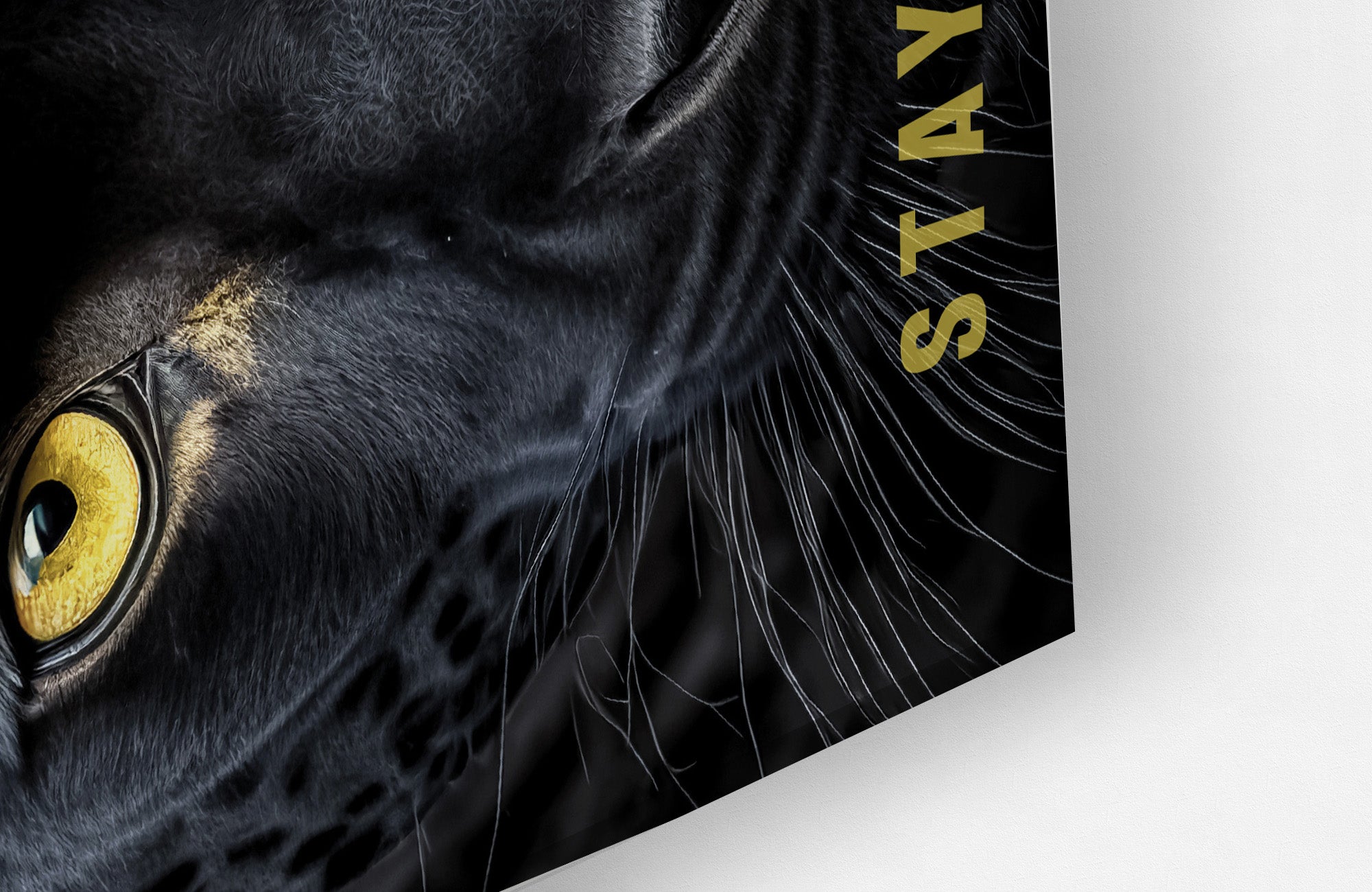 Queen Of Spade - Canvas/Acrylic Glass