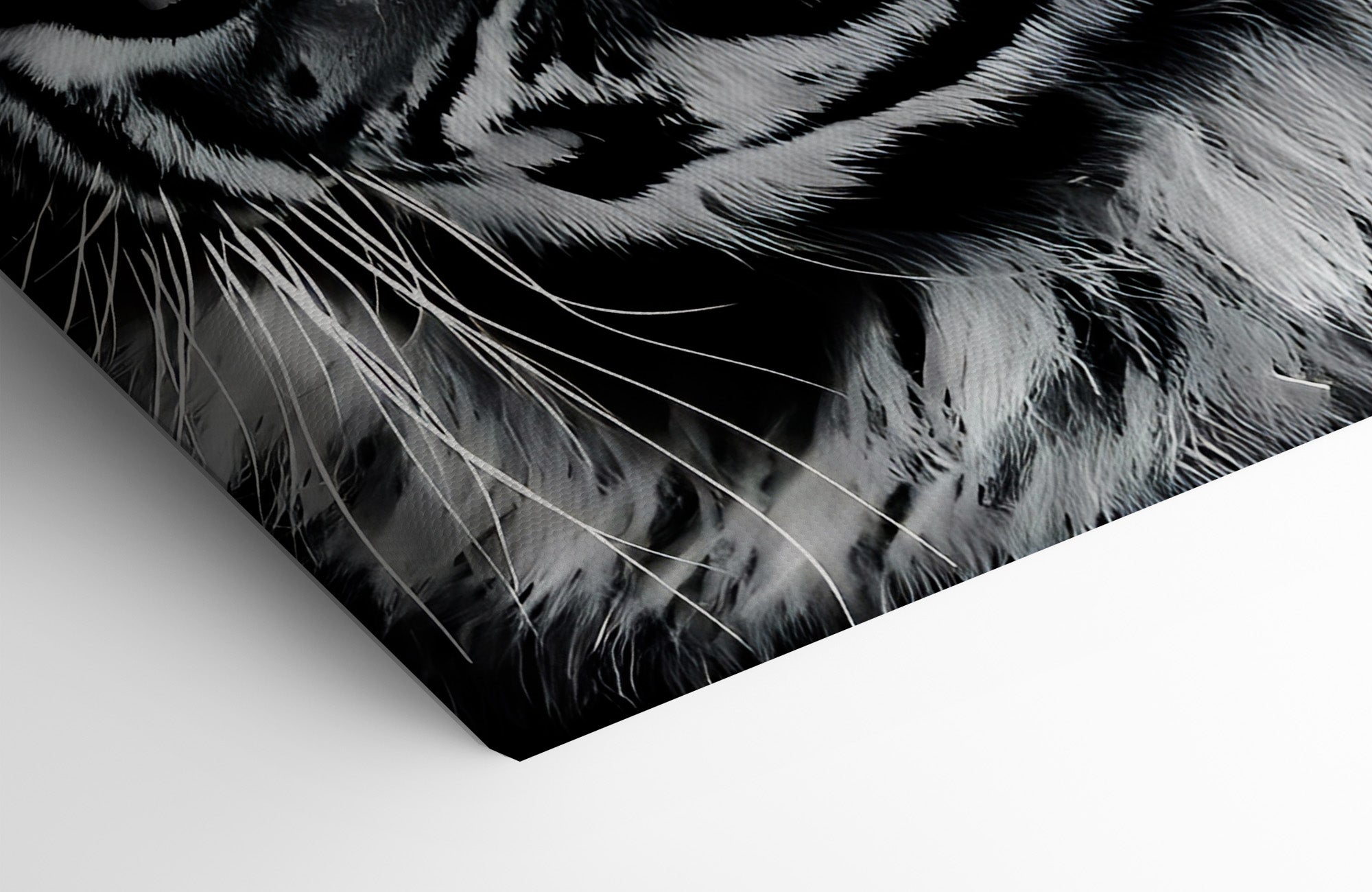 Blue Eyes Tiger Canvas