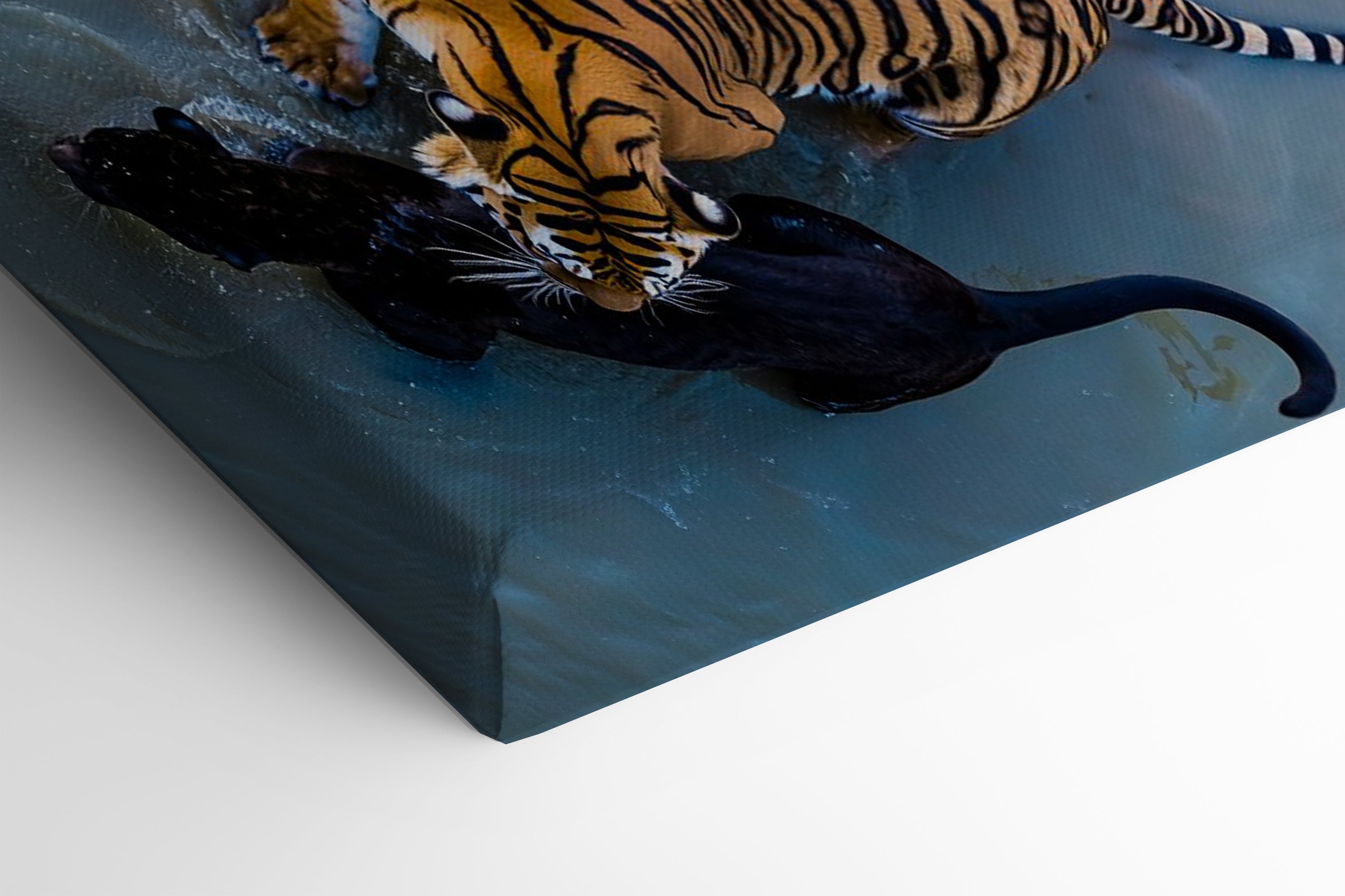 Its All Starts With A Dream - Canvas/Acrylic Glass