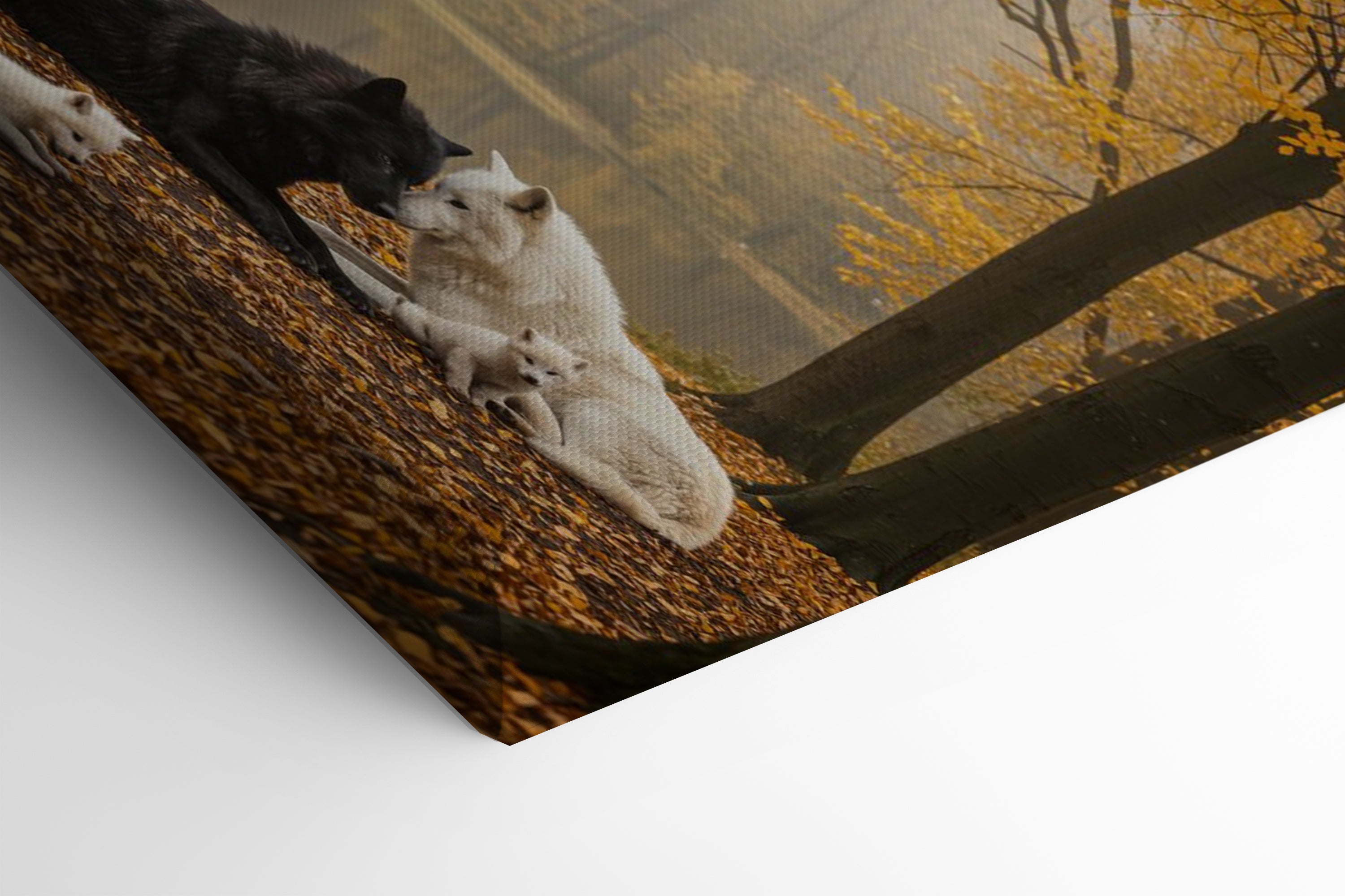 Its All Starts With A Dream - Canvas/Acrylic Glass