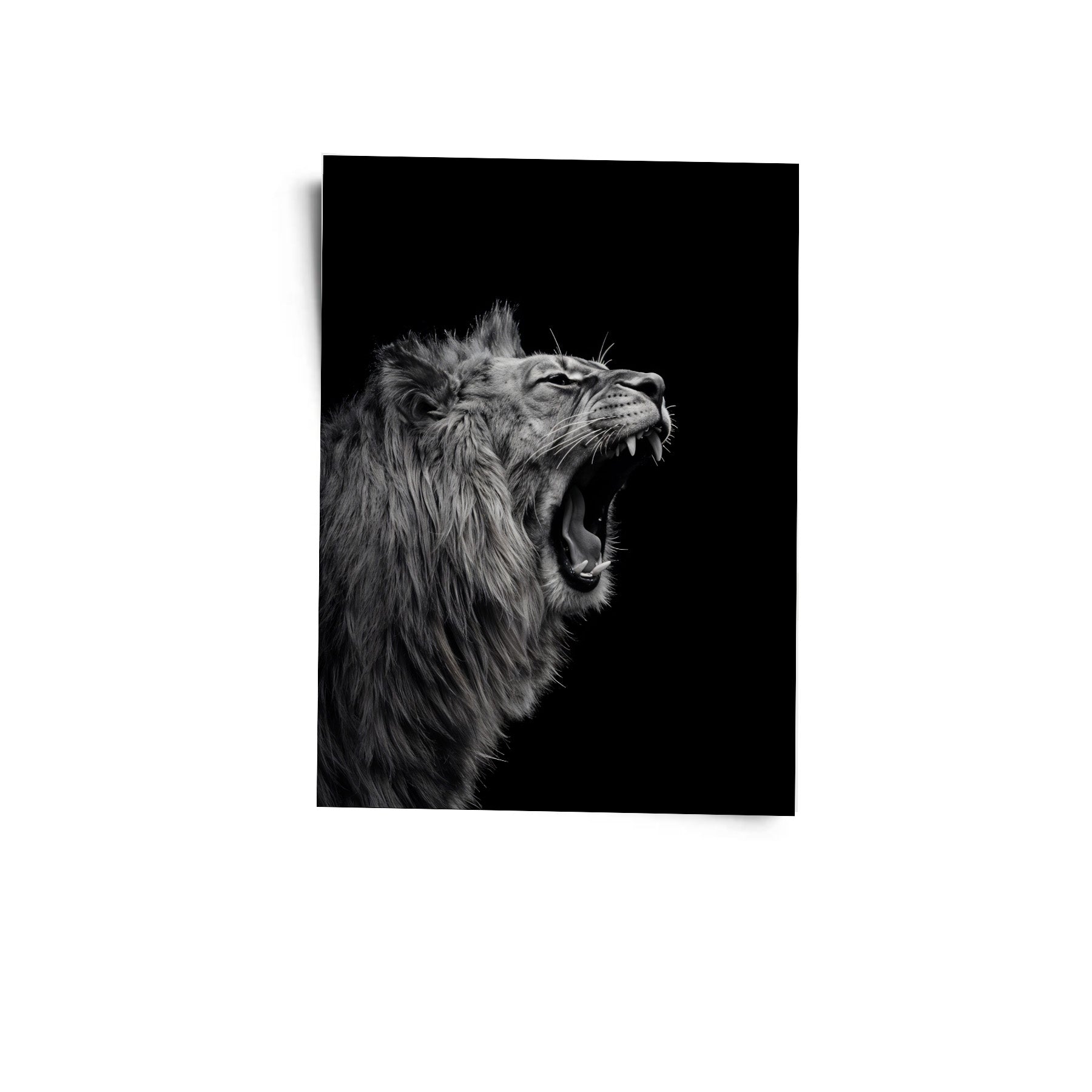 Its All Starts With A Dream - Canvas/Acrylic Glass