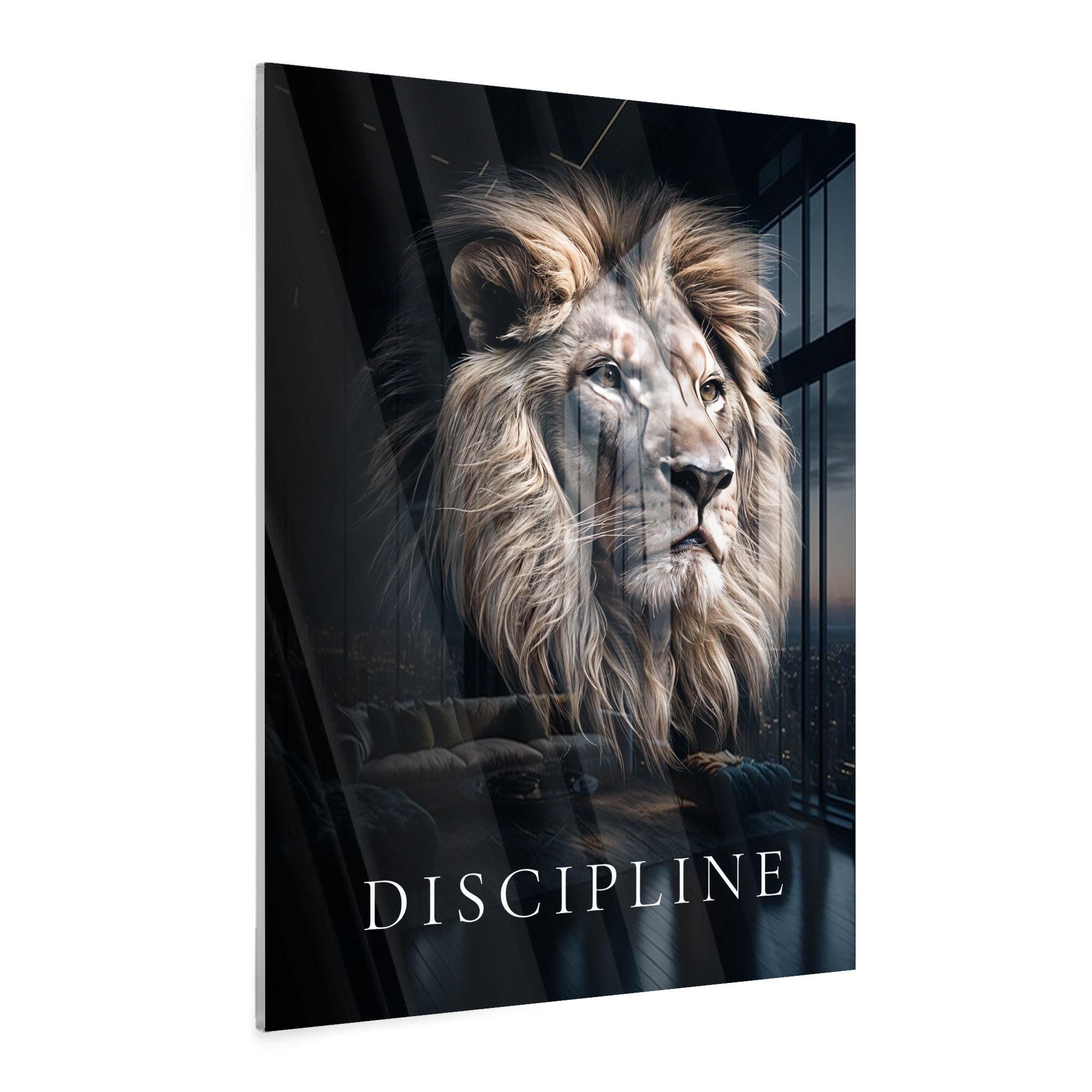 Discipline