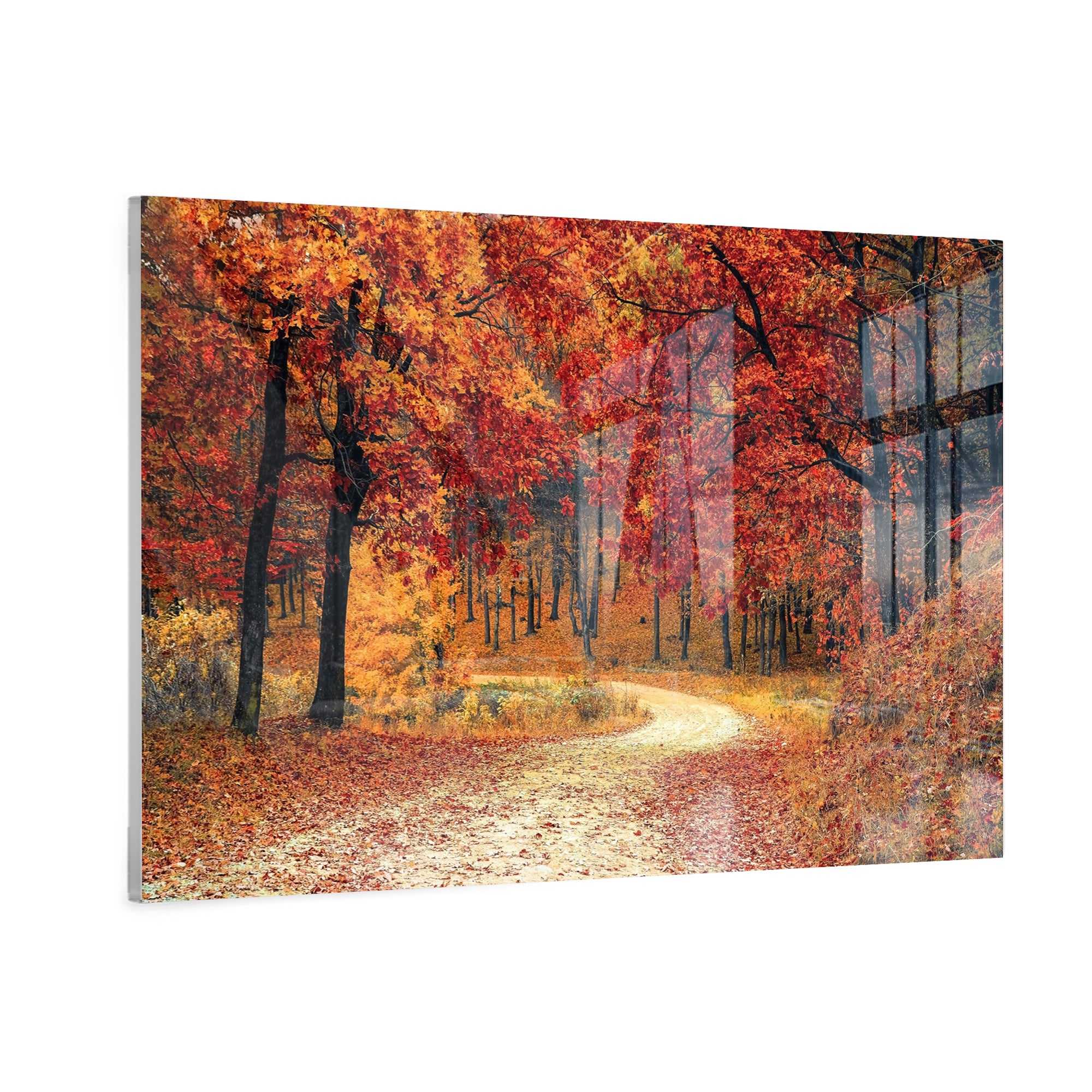 Autumn Path