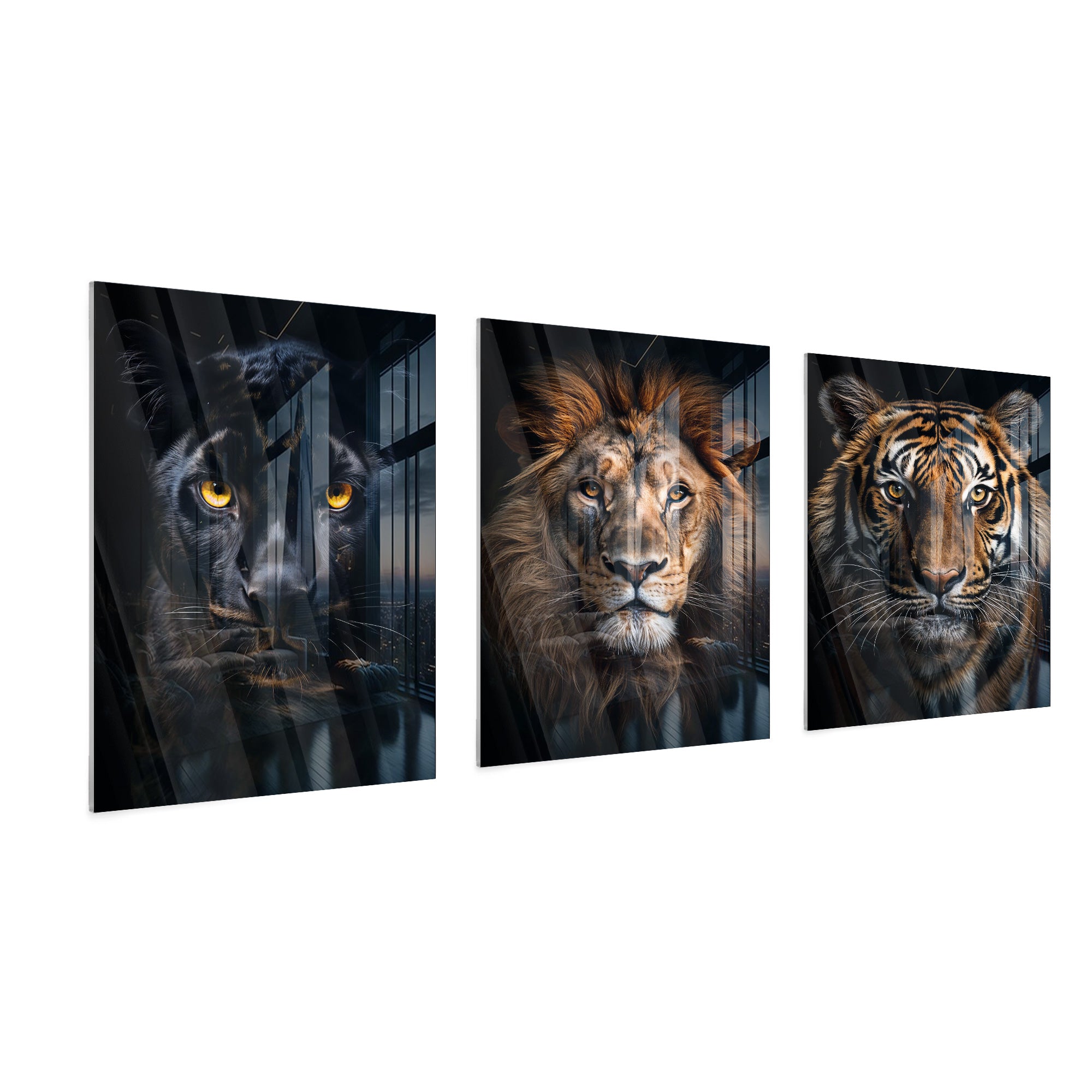 Royal Predators Collection