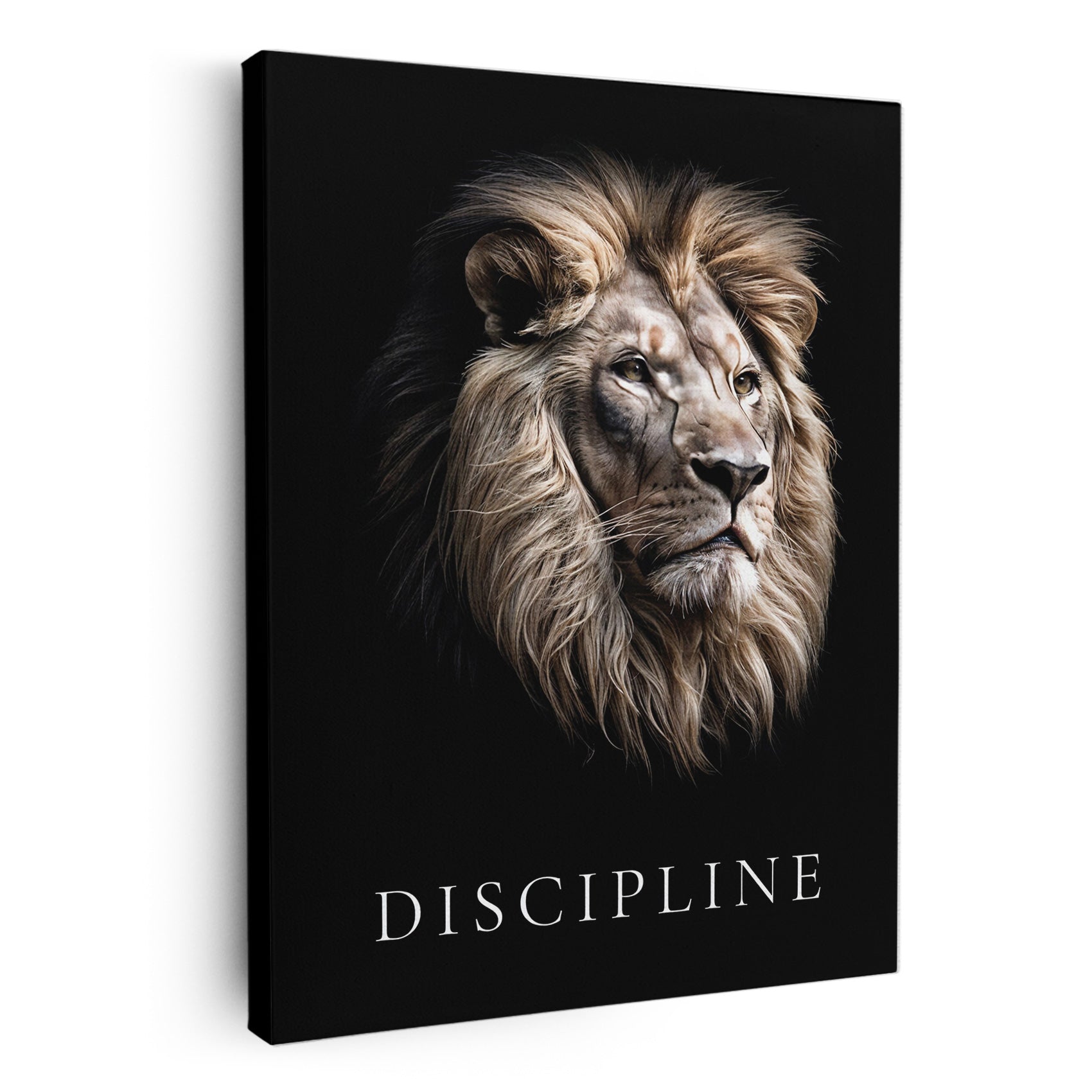 Discipline