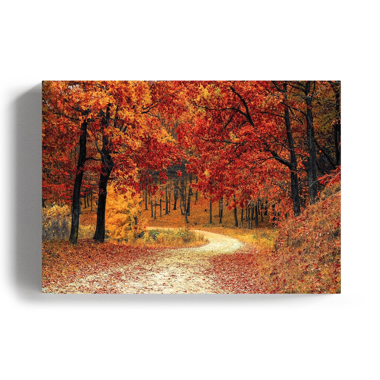 Autumn Path