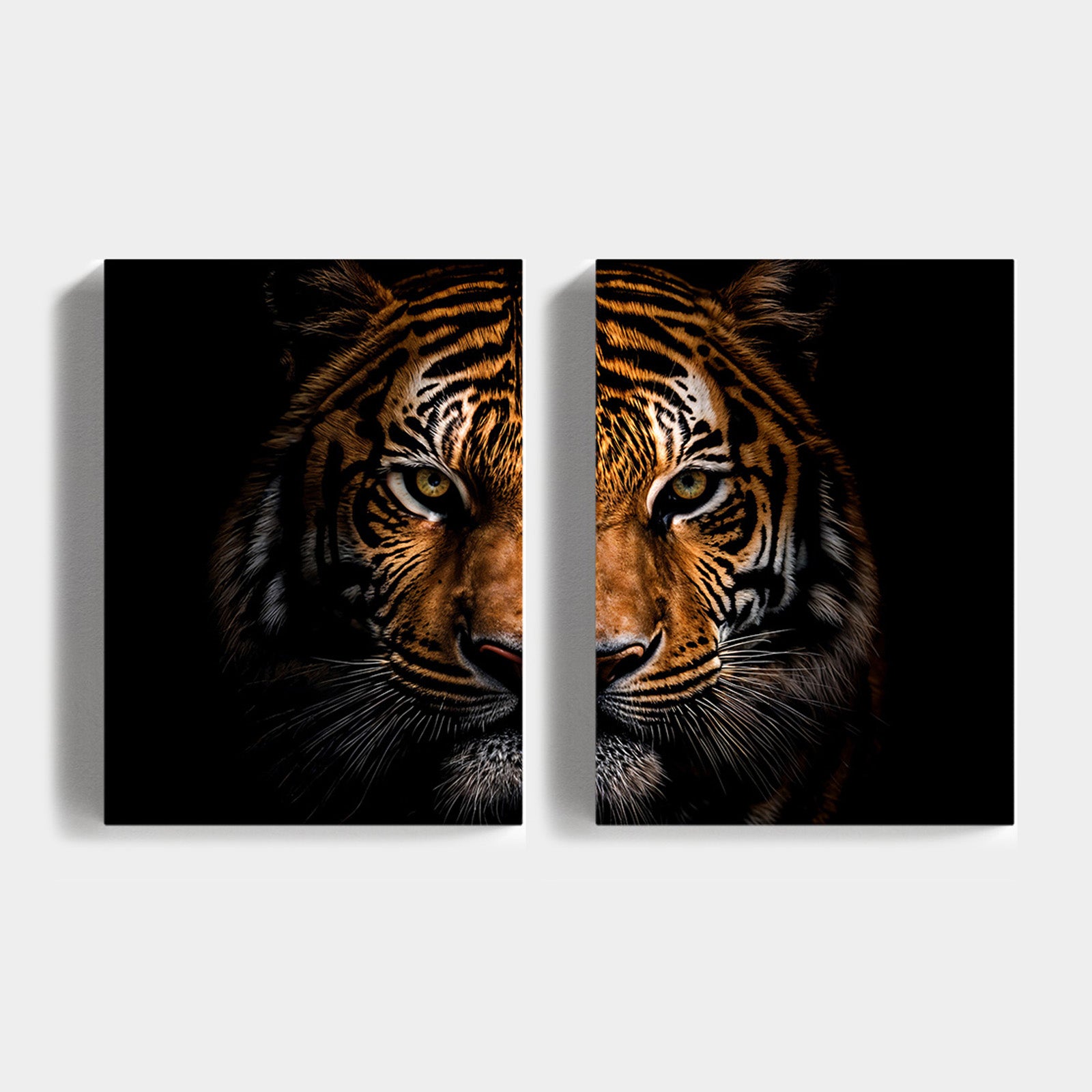 Noir Tiger Vision