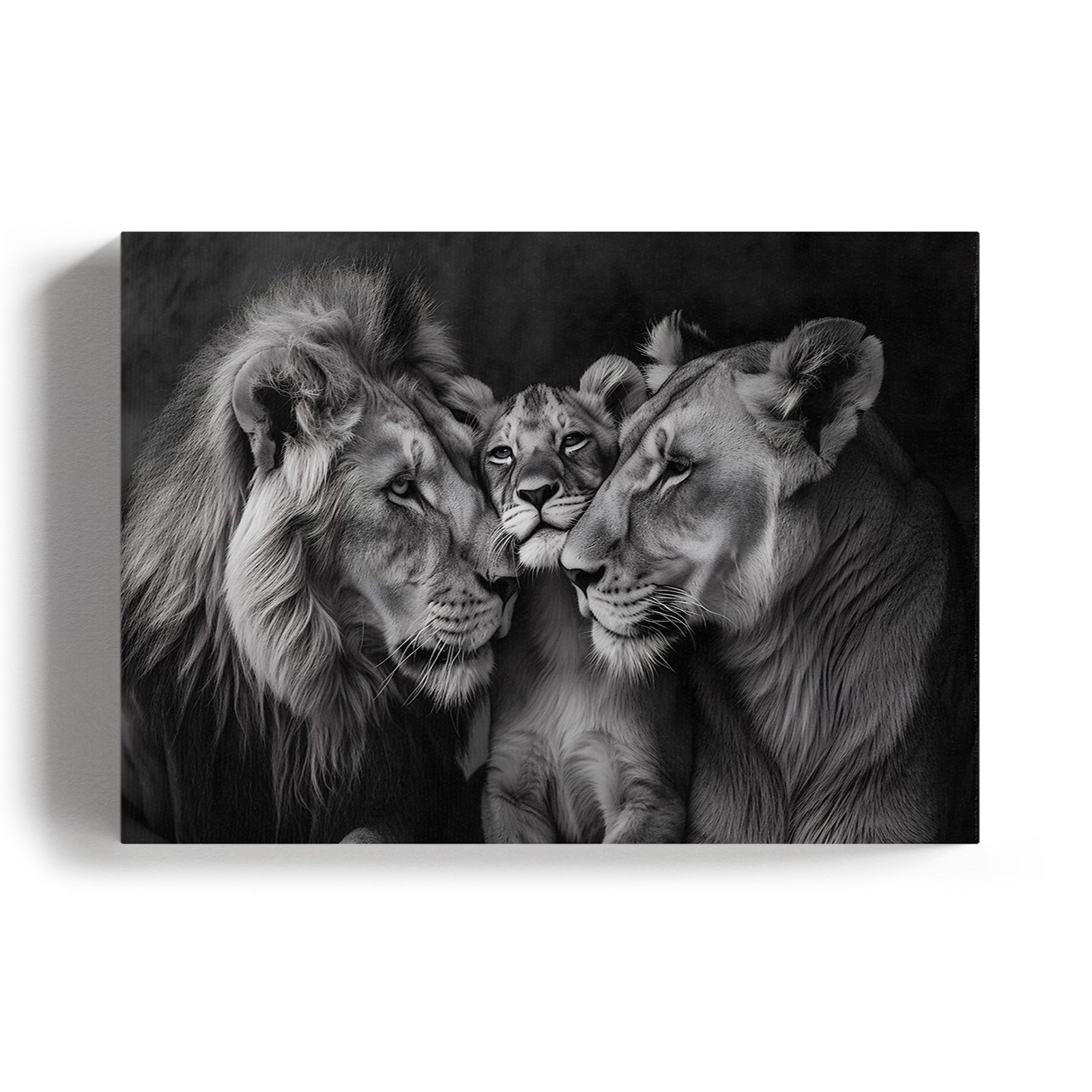 Lion Family