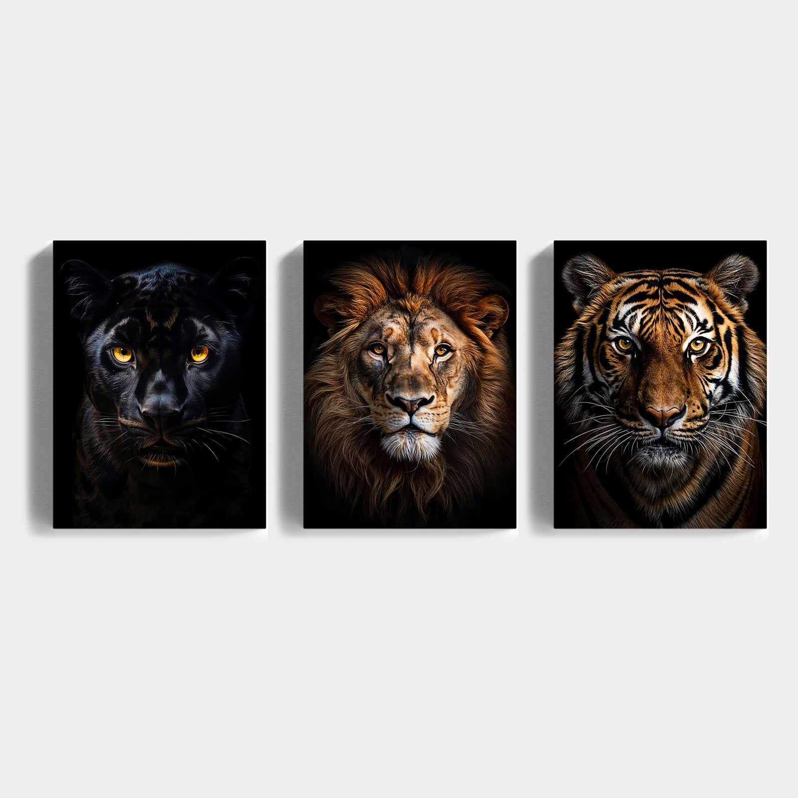 Royal Predators Collection