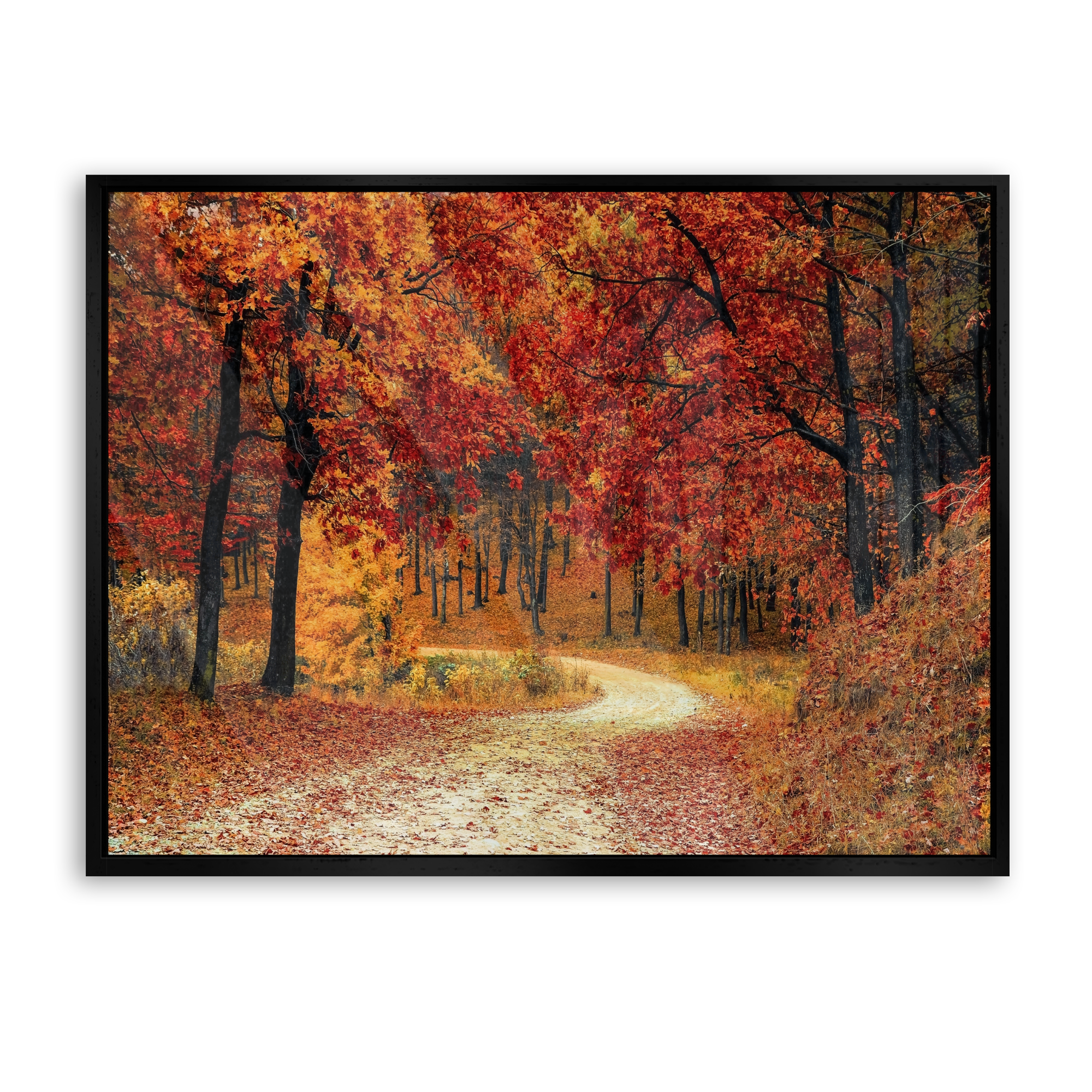 Autumn Path