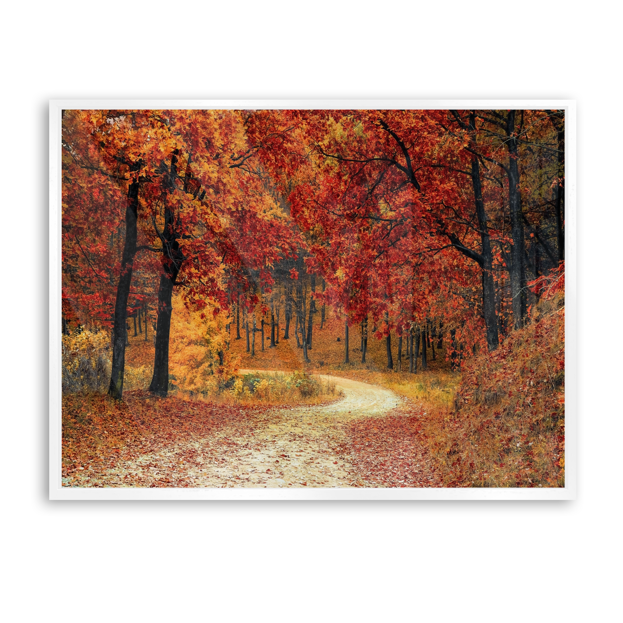 Autumn Path
