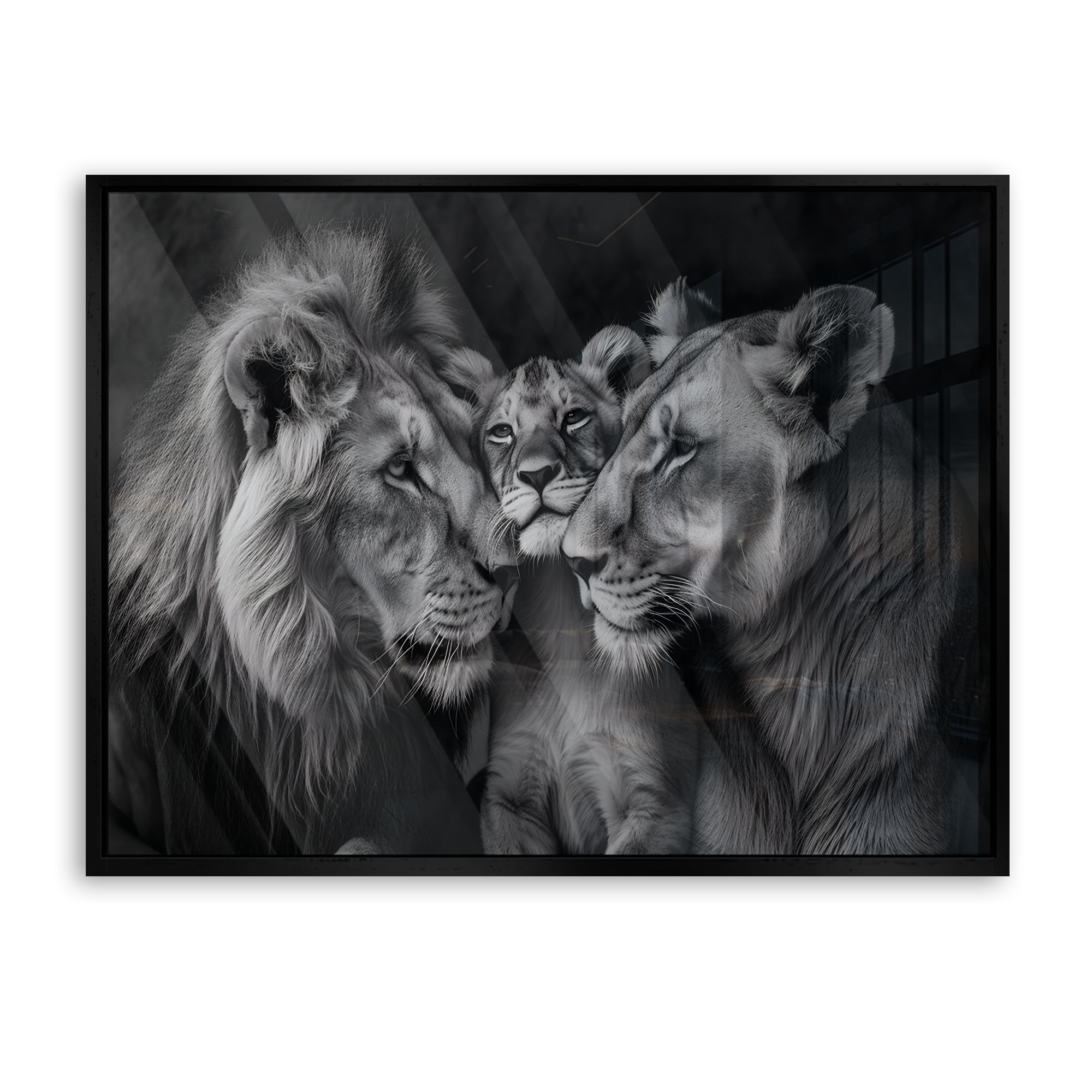 Lion Family