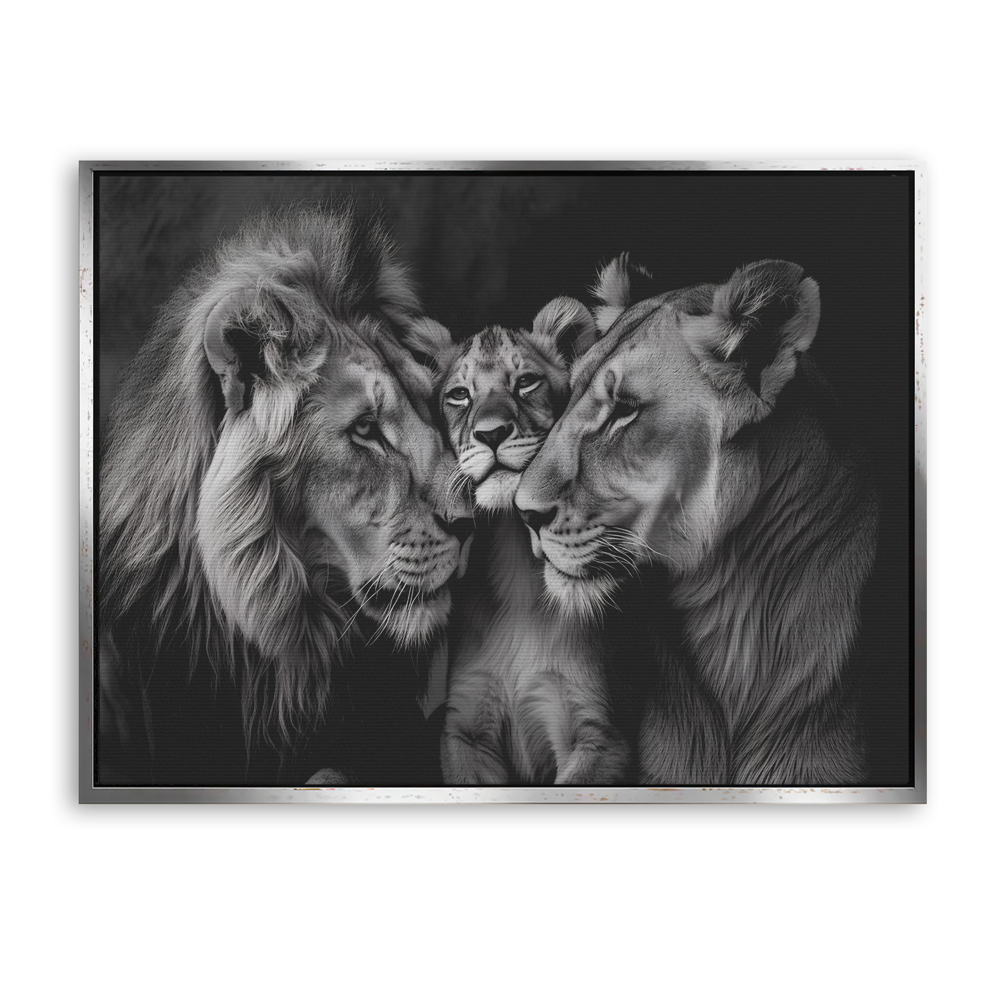 Lion Family