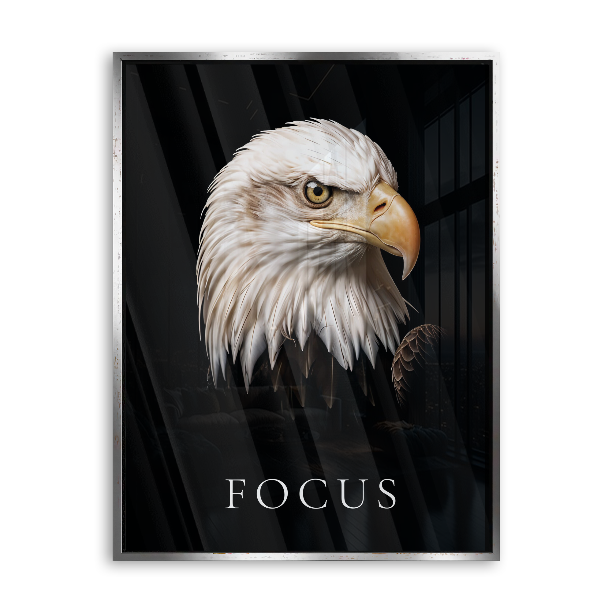 Focus
