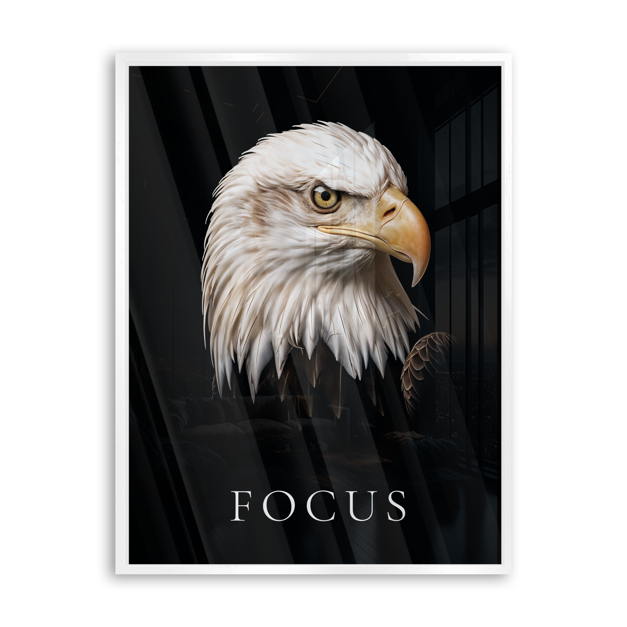 Focus