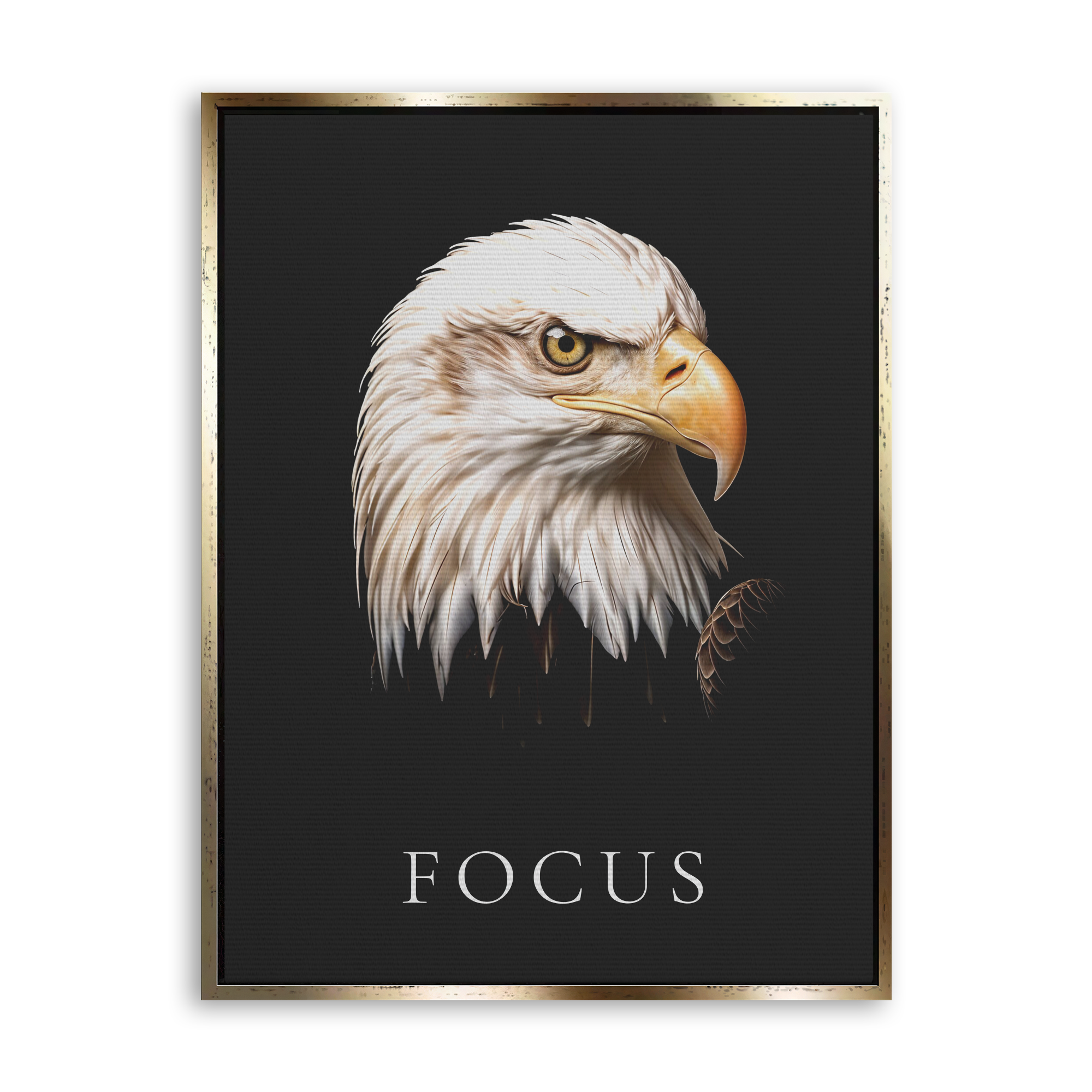 Focus