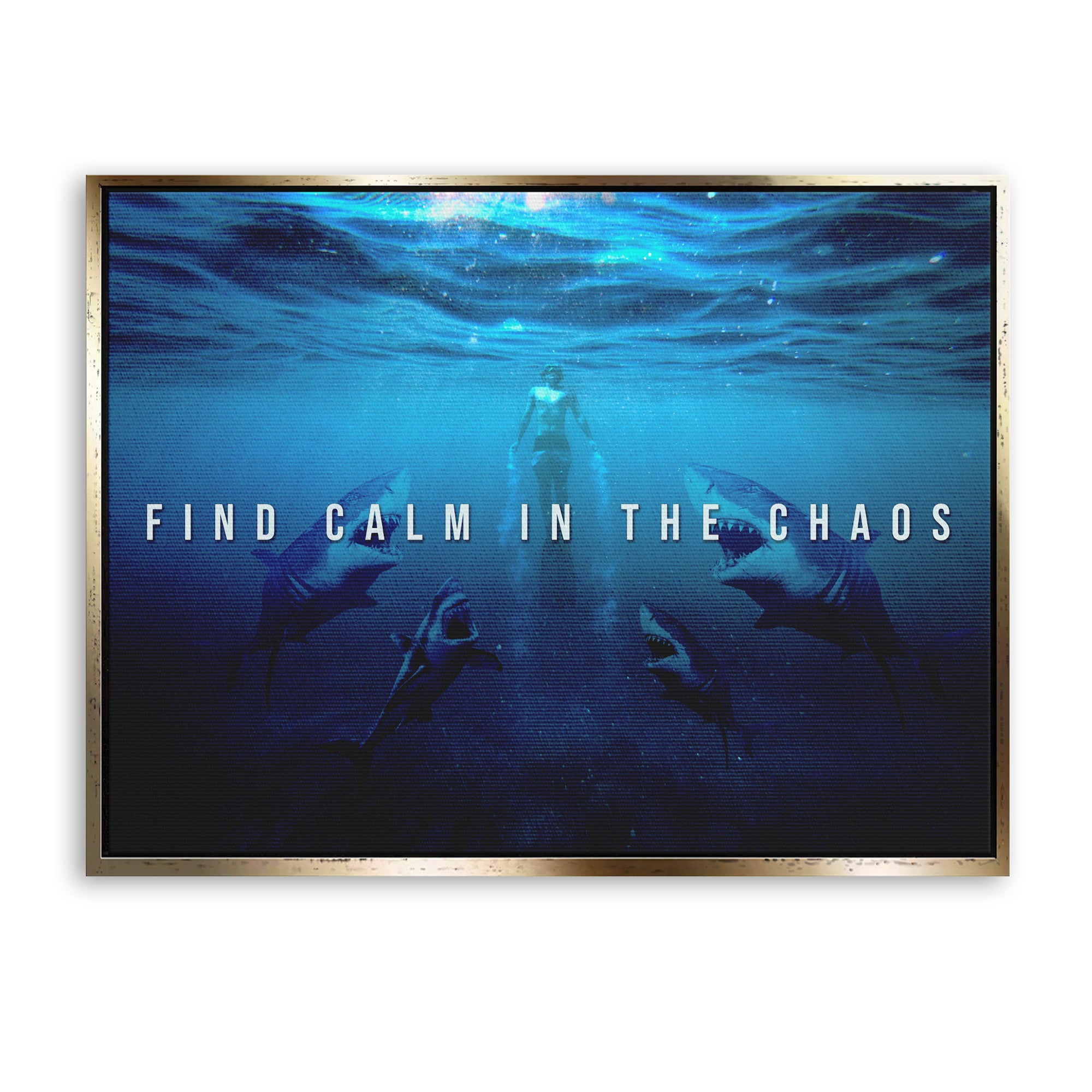 Find calm in the chaos