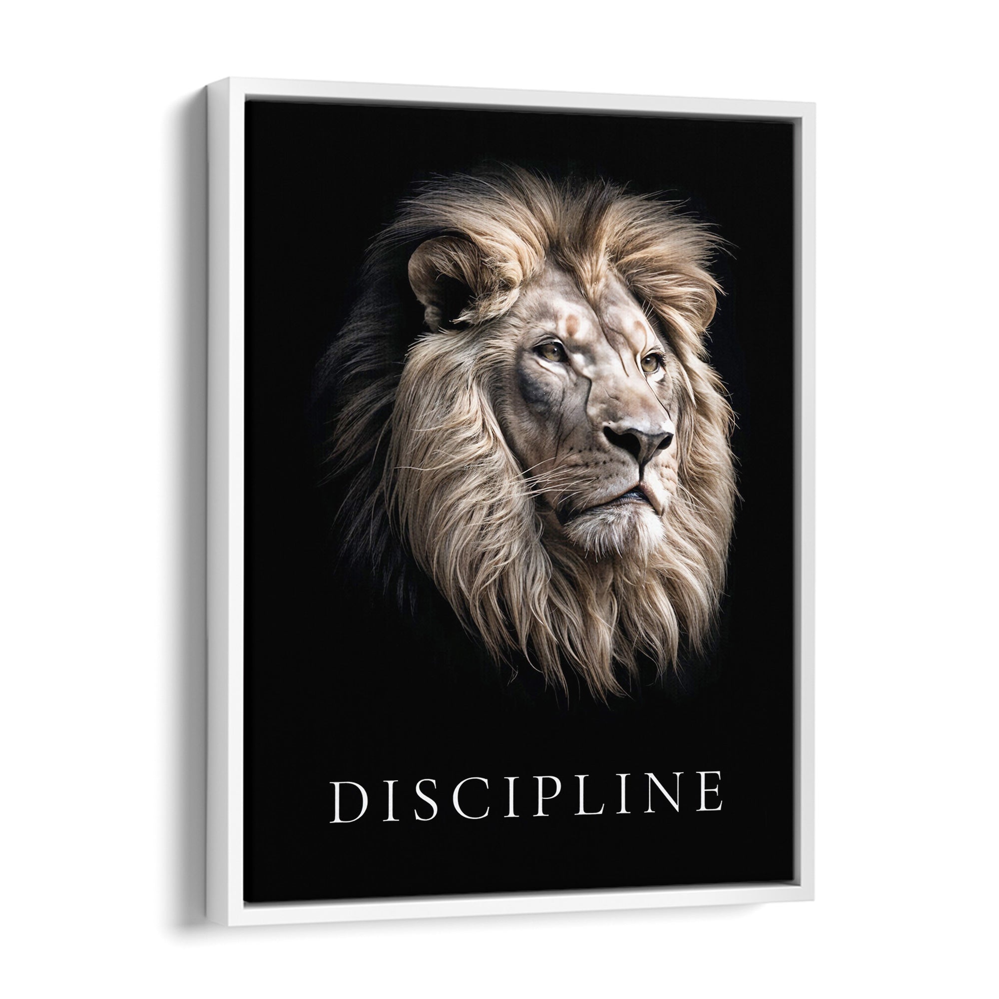 Discipline