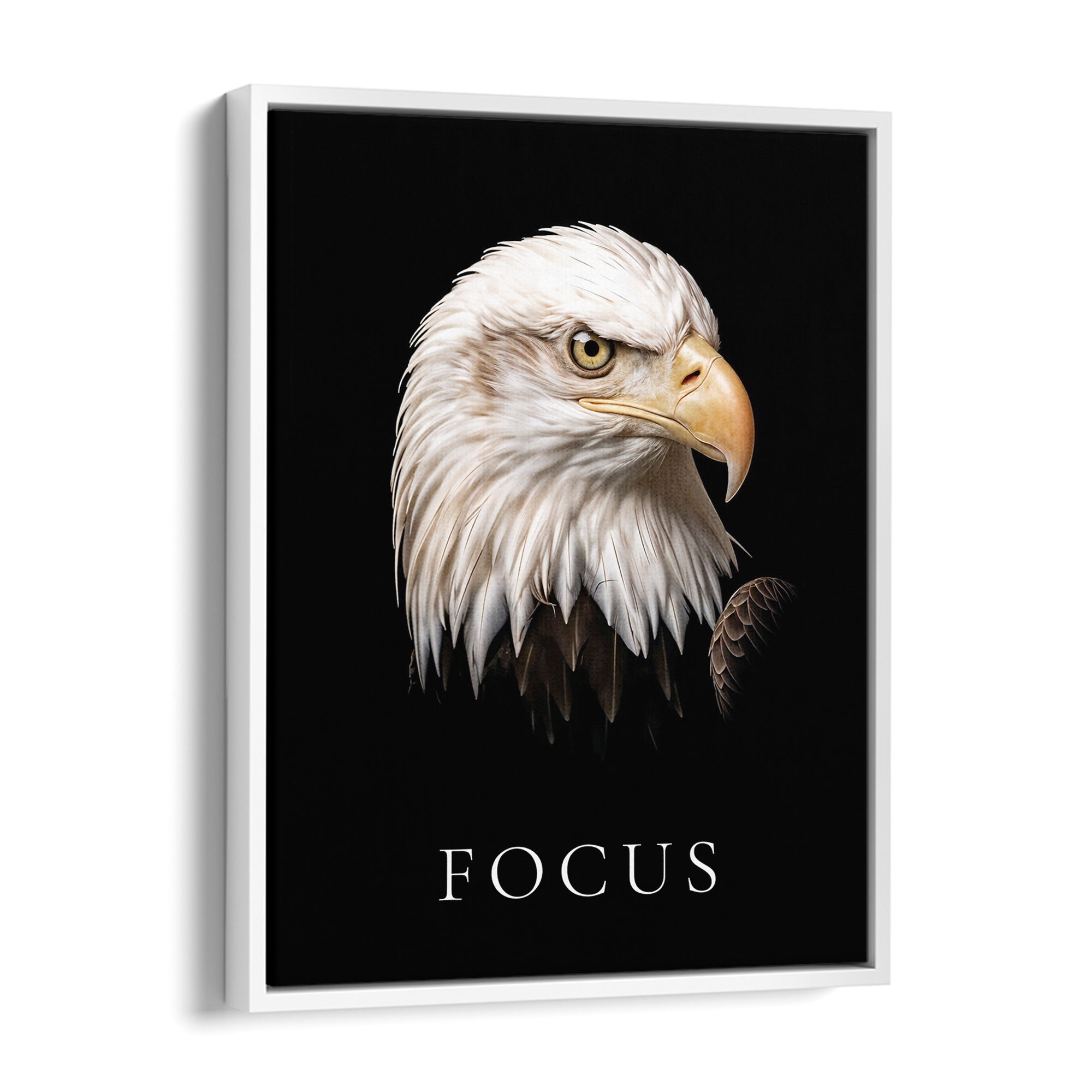 Focus