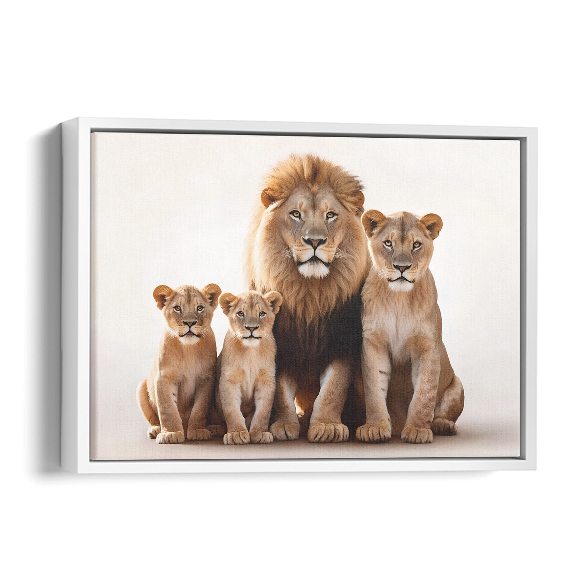 Lion Family
