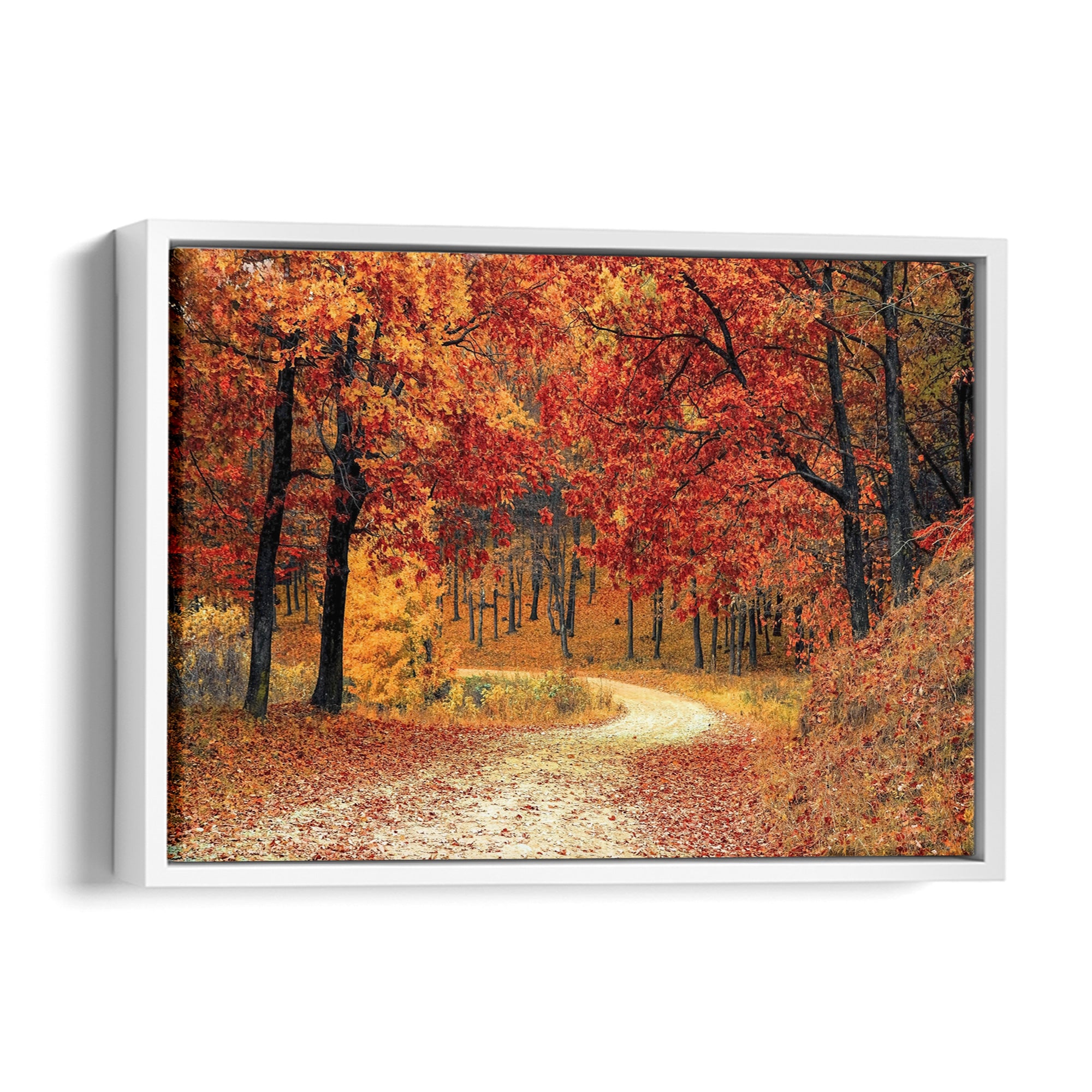Autumn Path