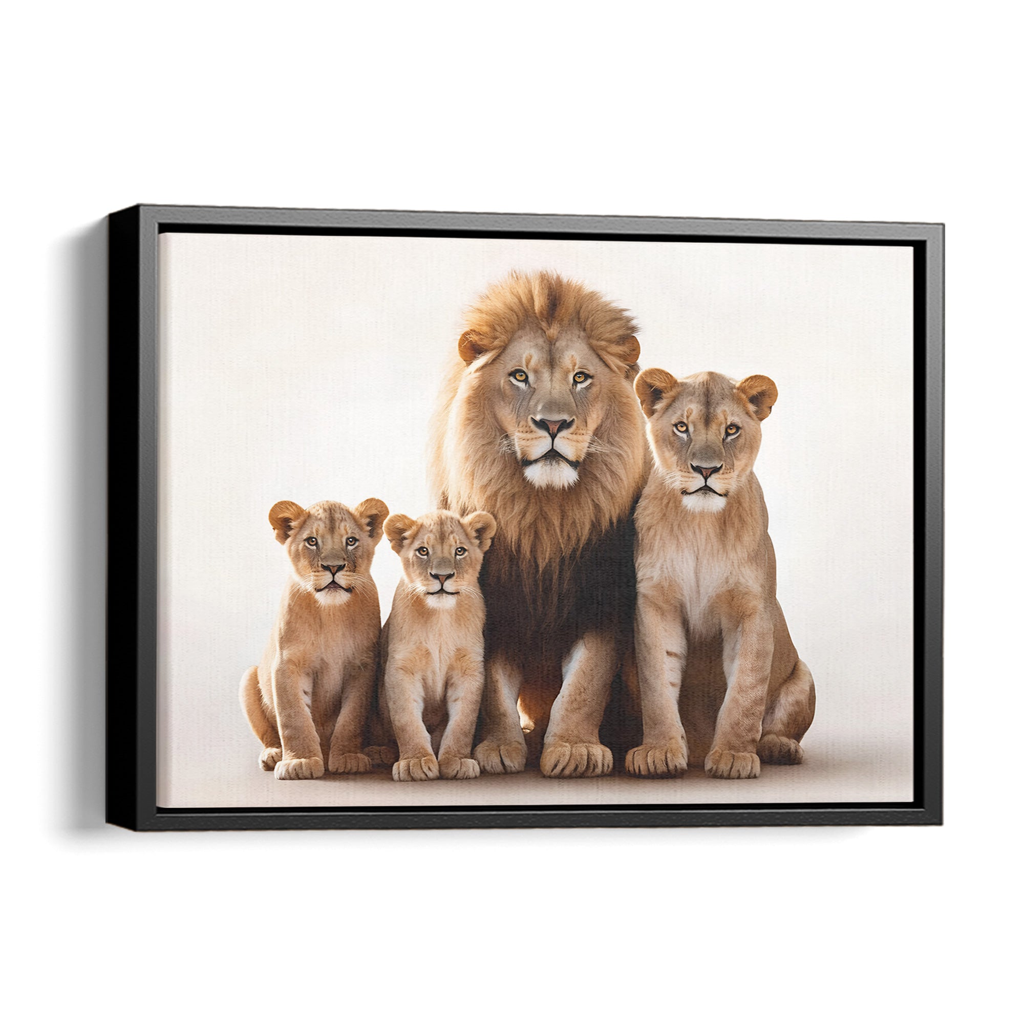 Lion Family