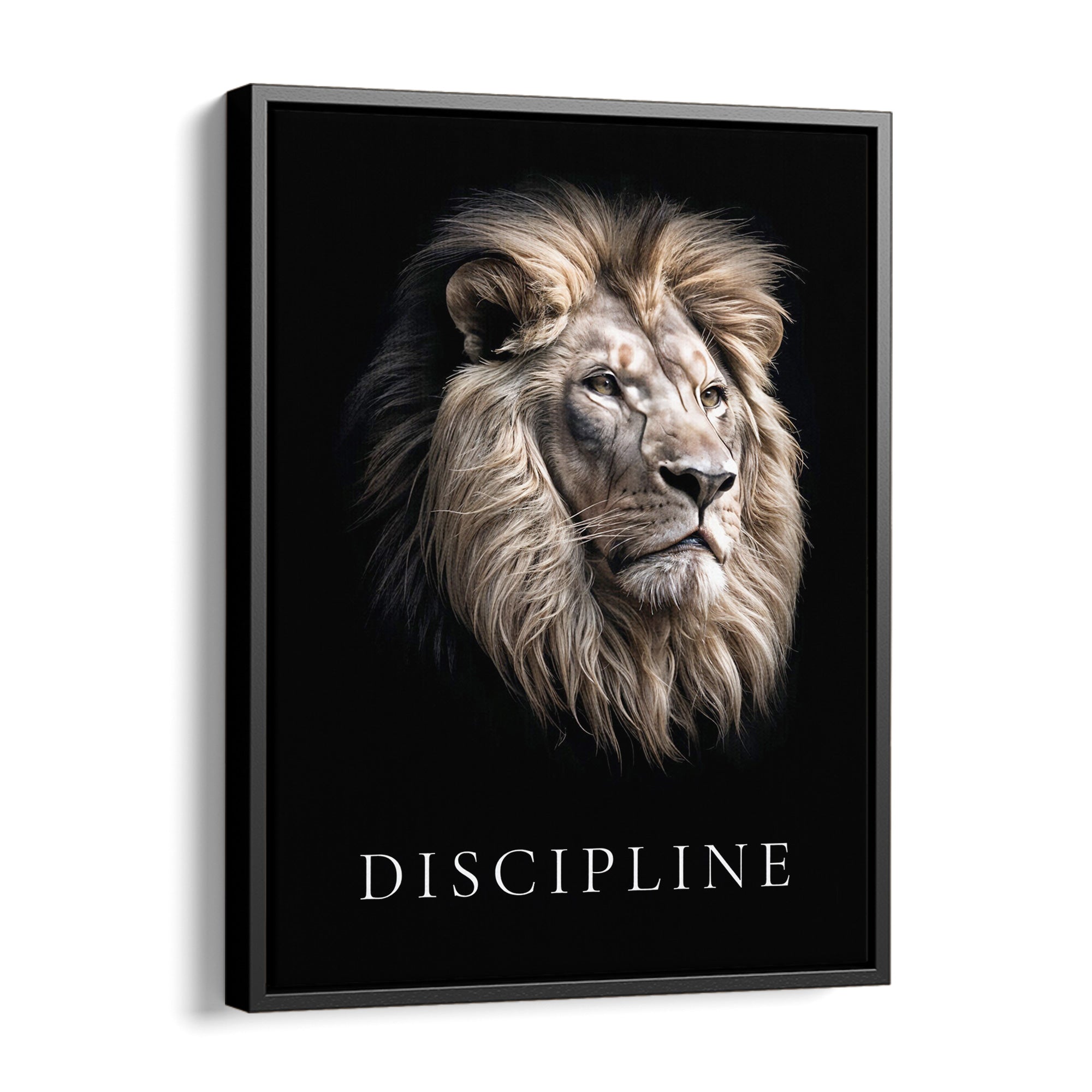 Discipline
