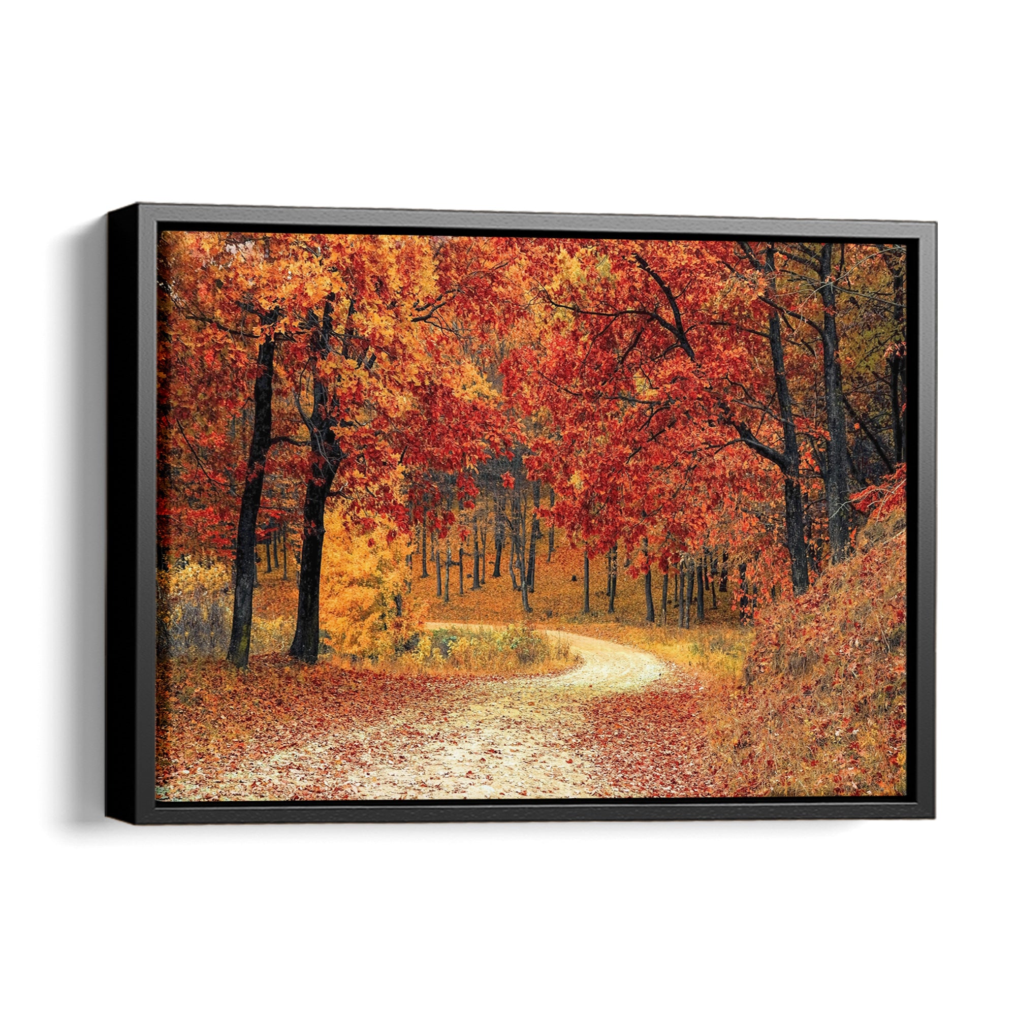 Autumn Path
