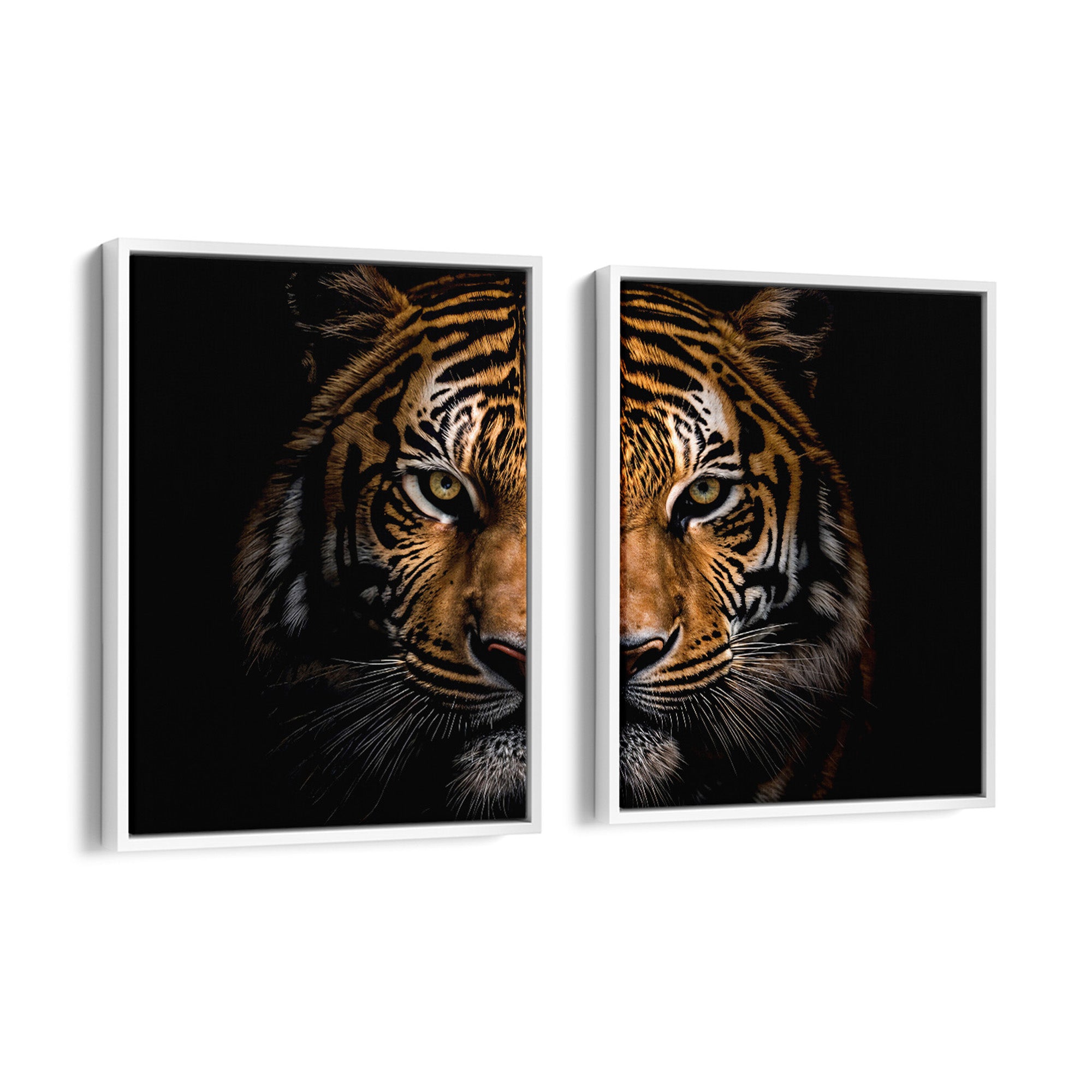 Noir Tiger Vision