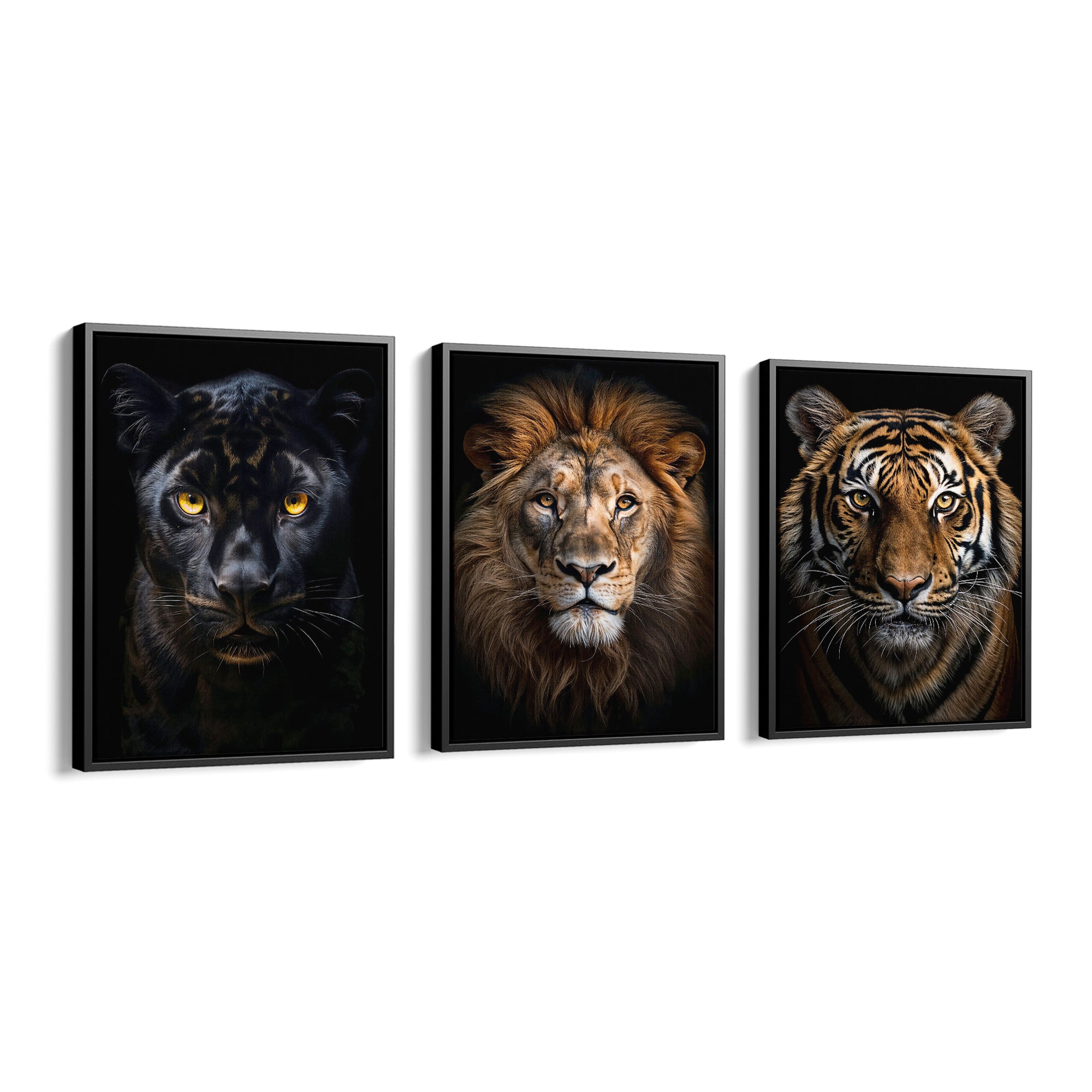Royal Predators Collection