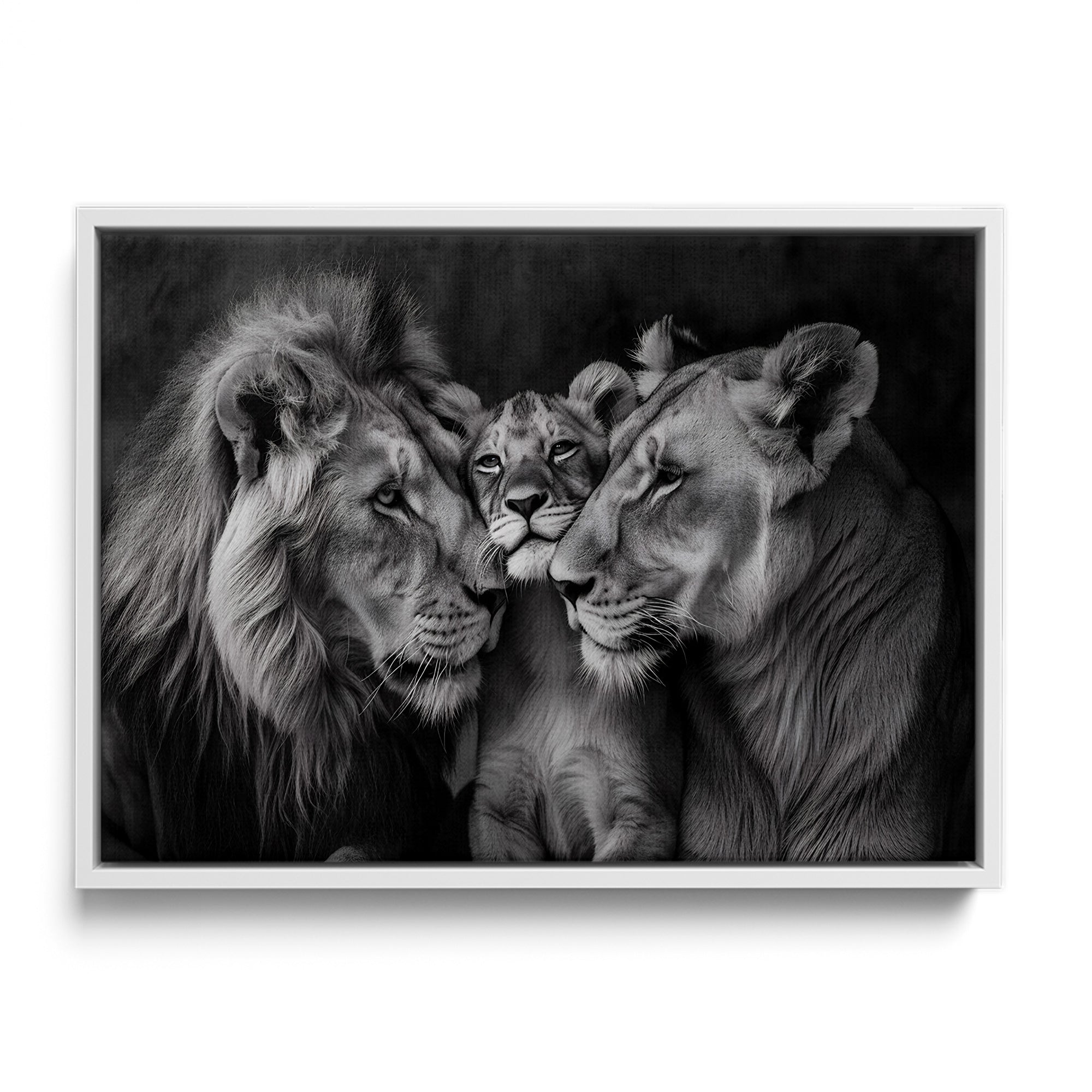 Lion Family