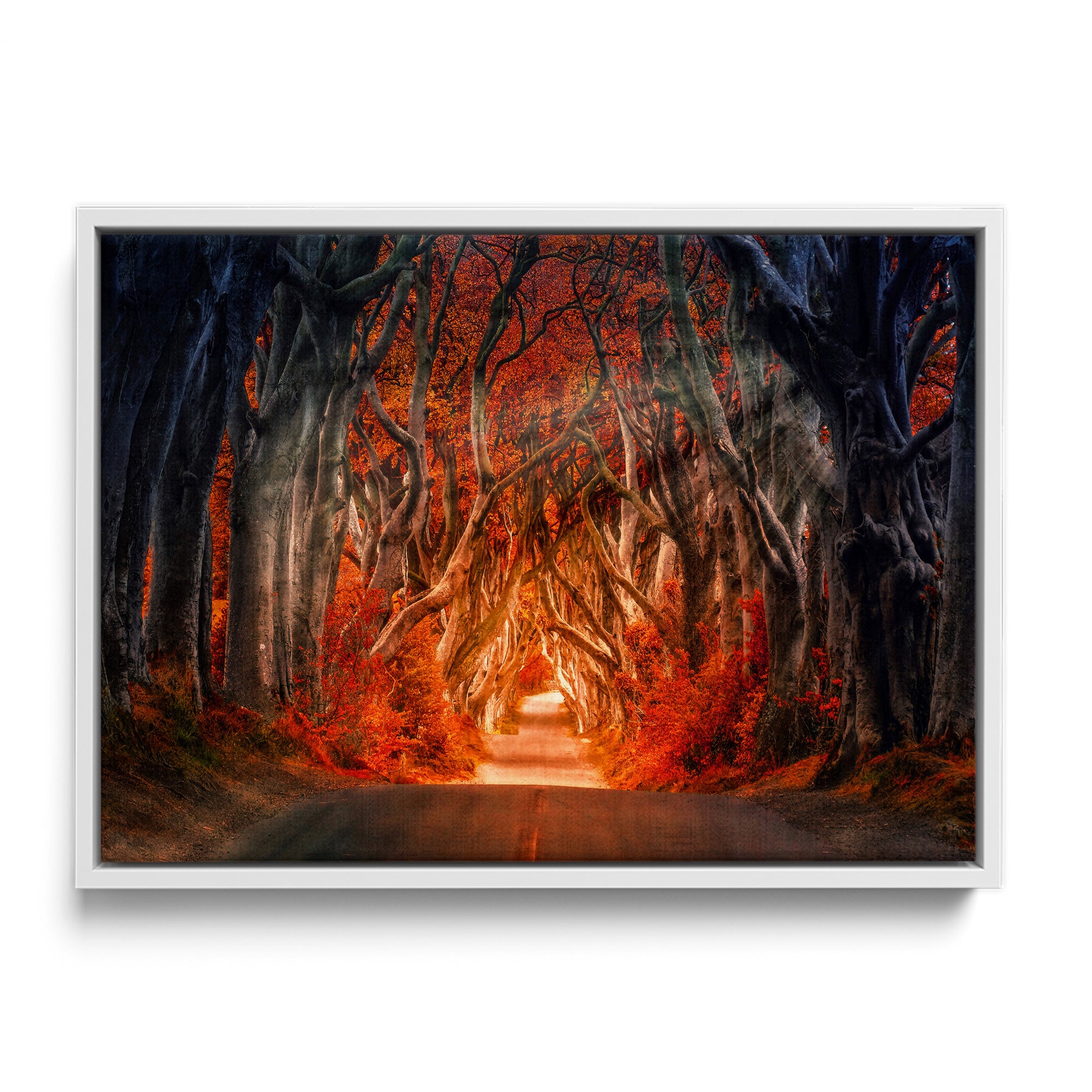 Autumn Path
