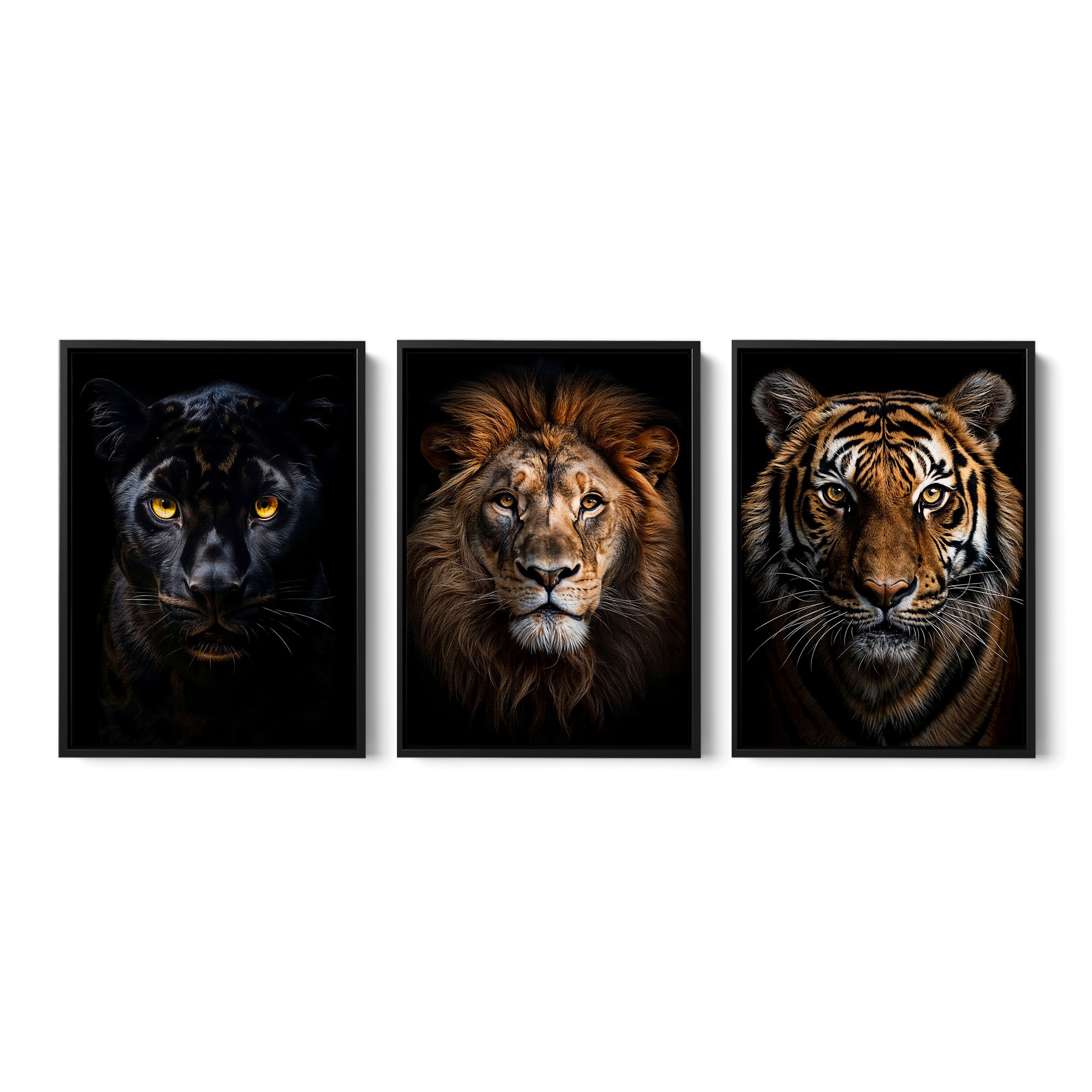 Royal Predators Collection