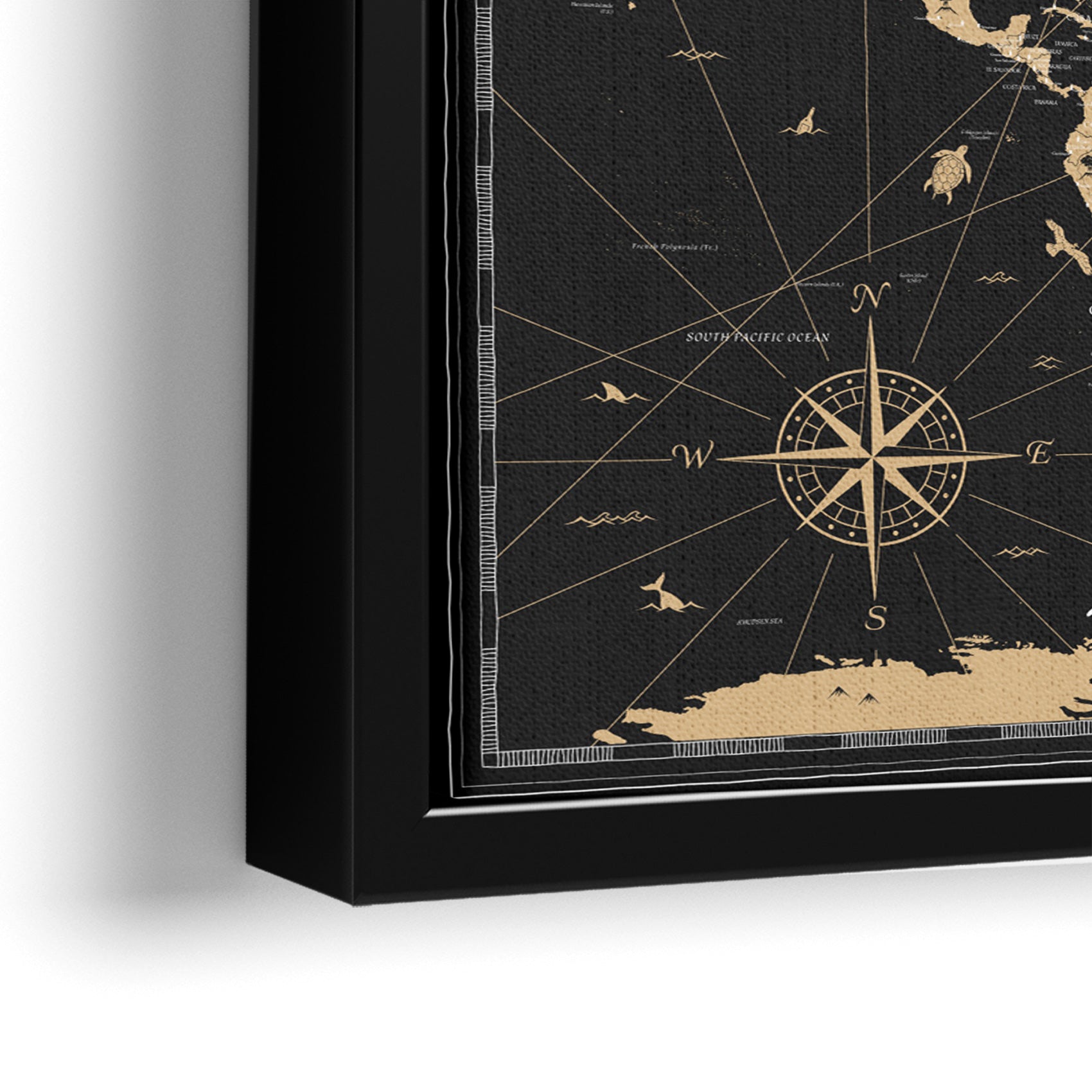 World map