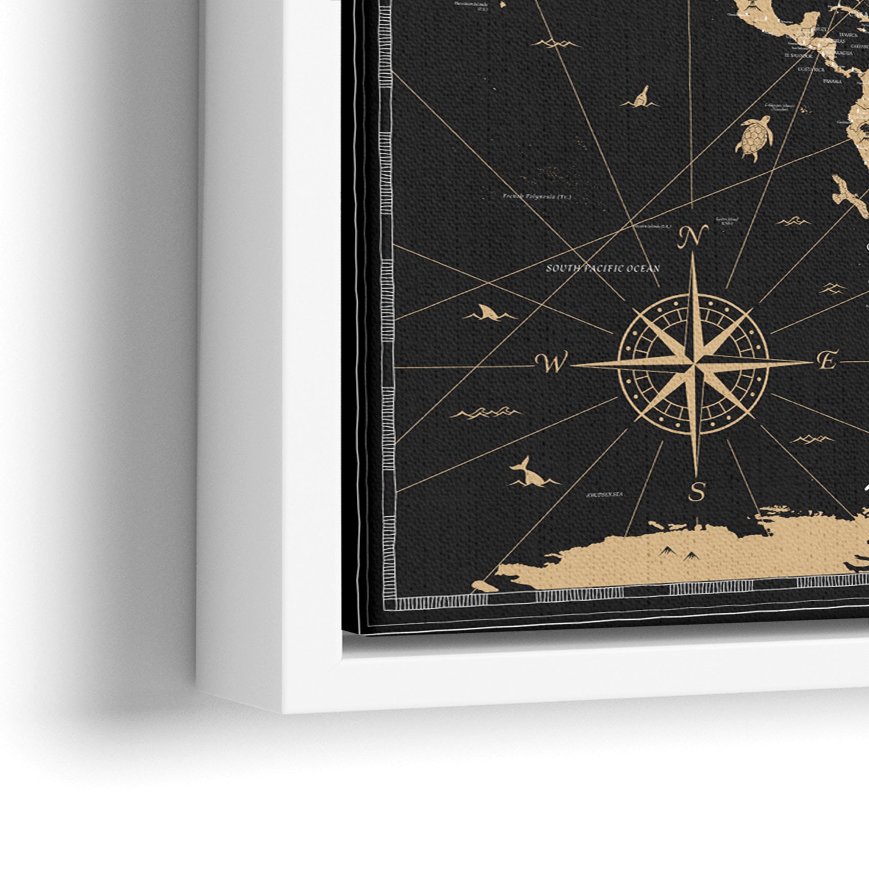 World map