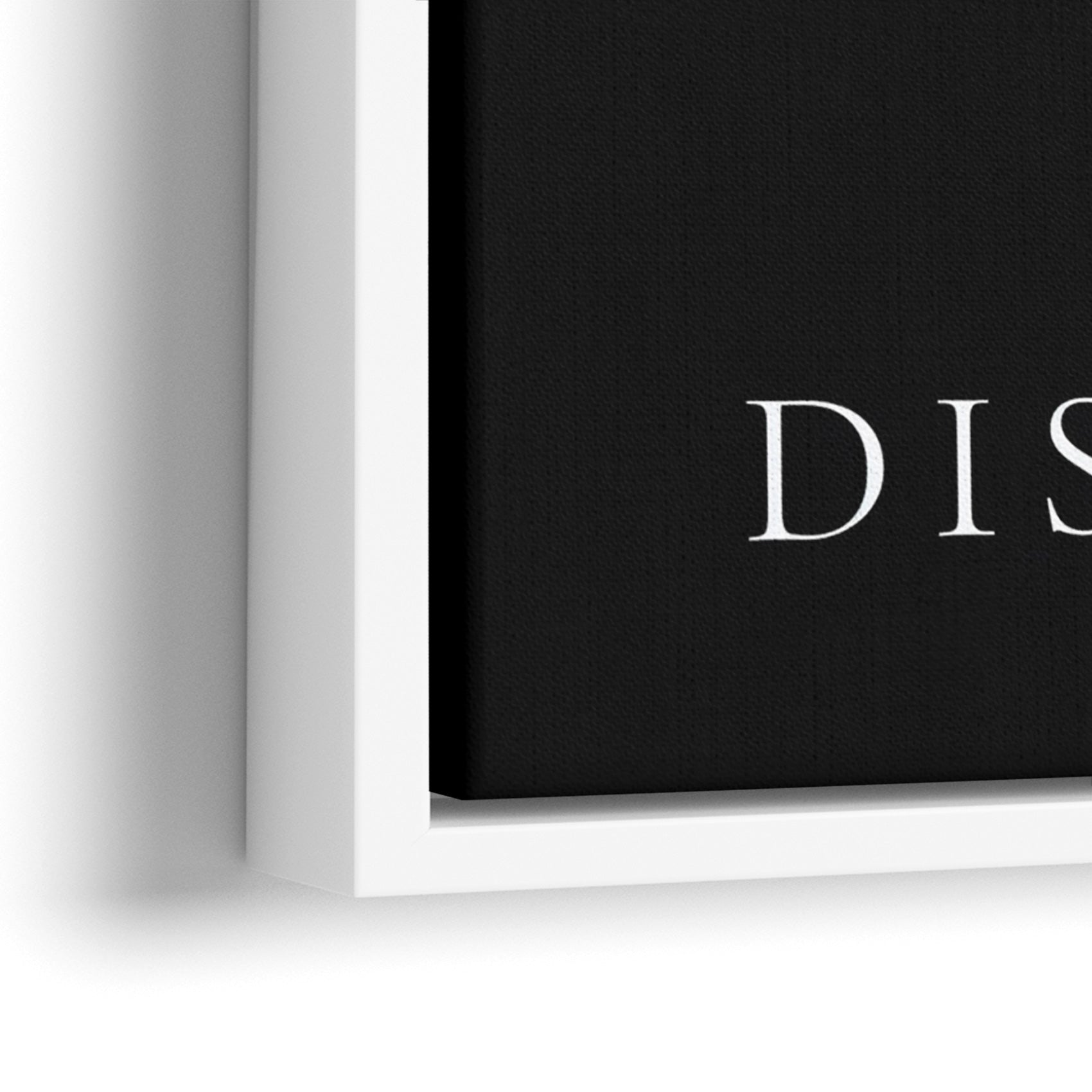 Discipline