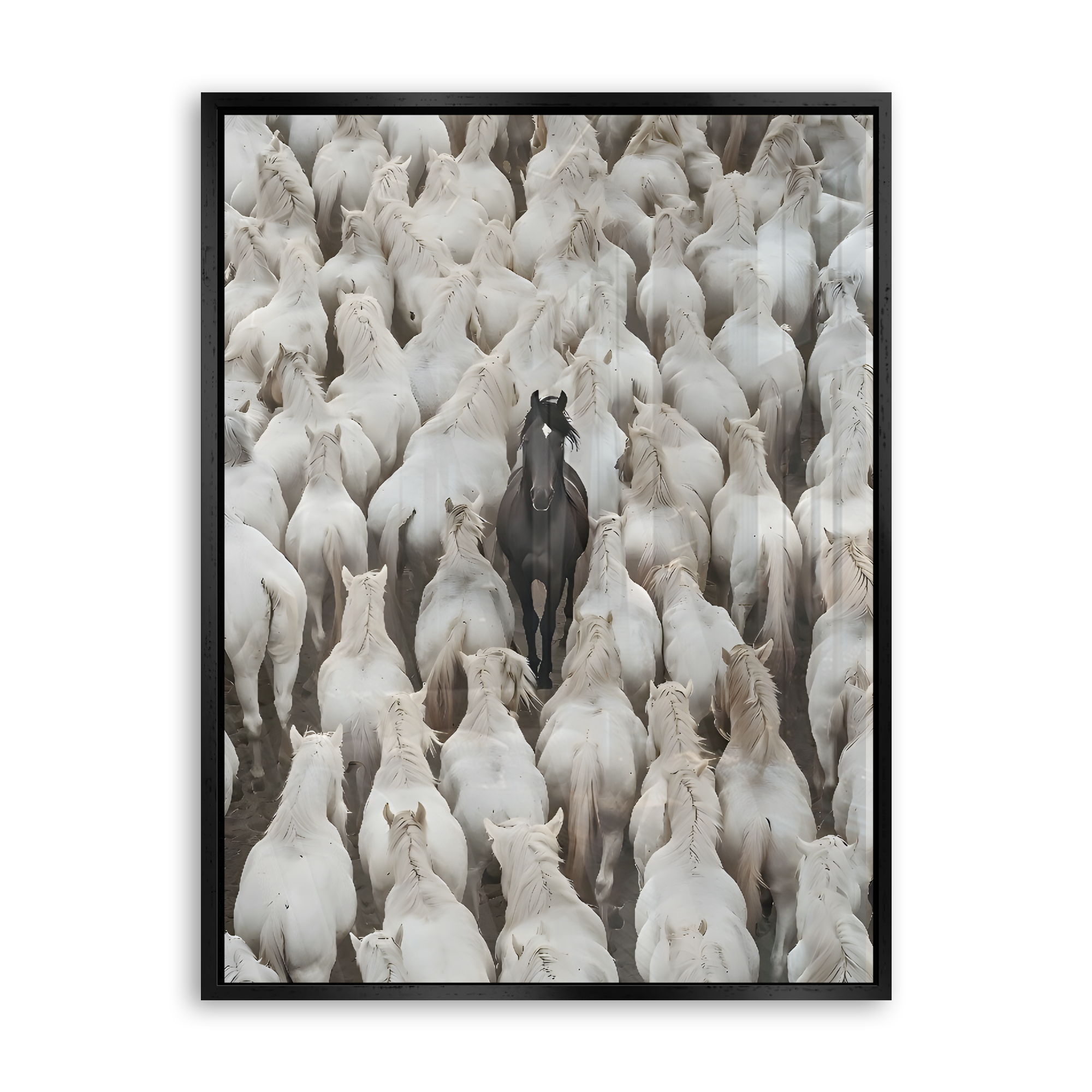 Dare to Be Different