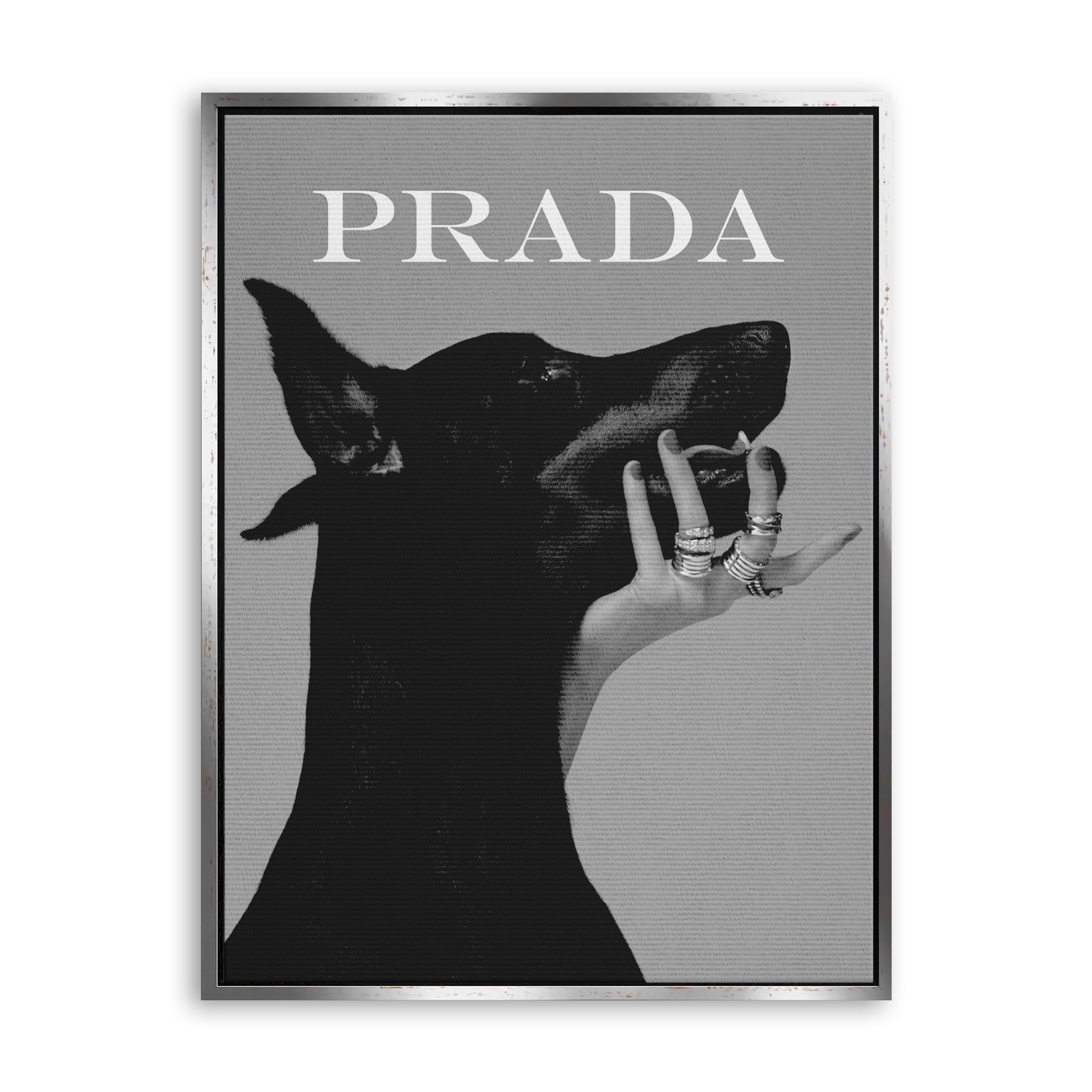 Luxury Dog