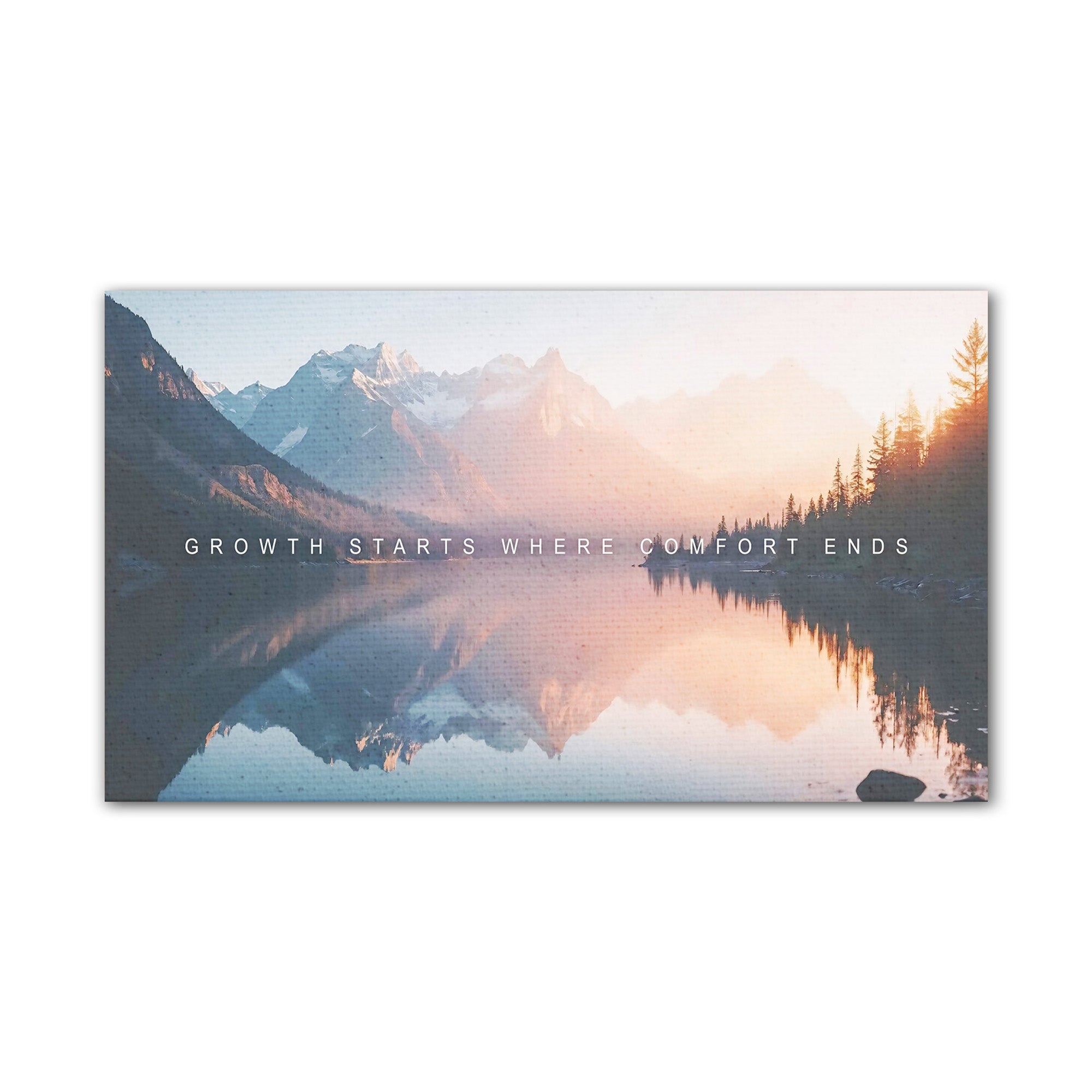 Growth starts where comfort ends