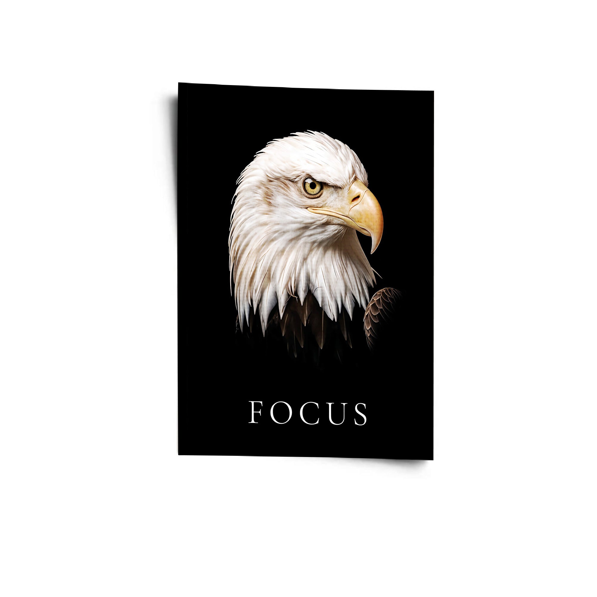 Focus