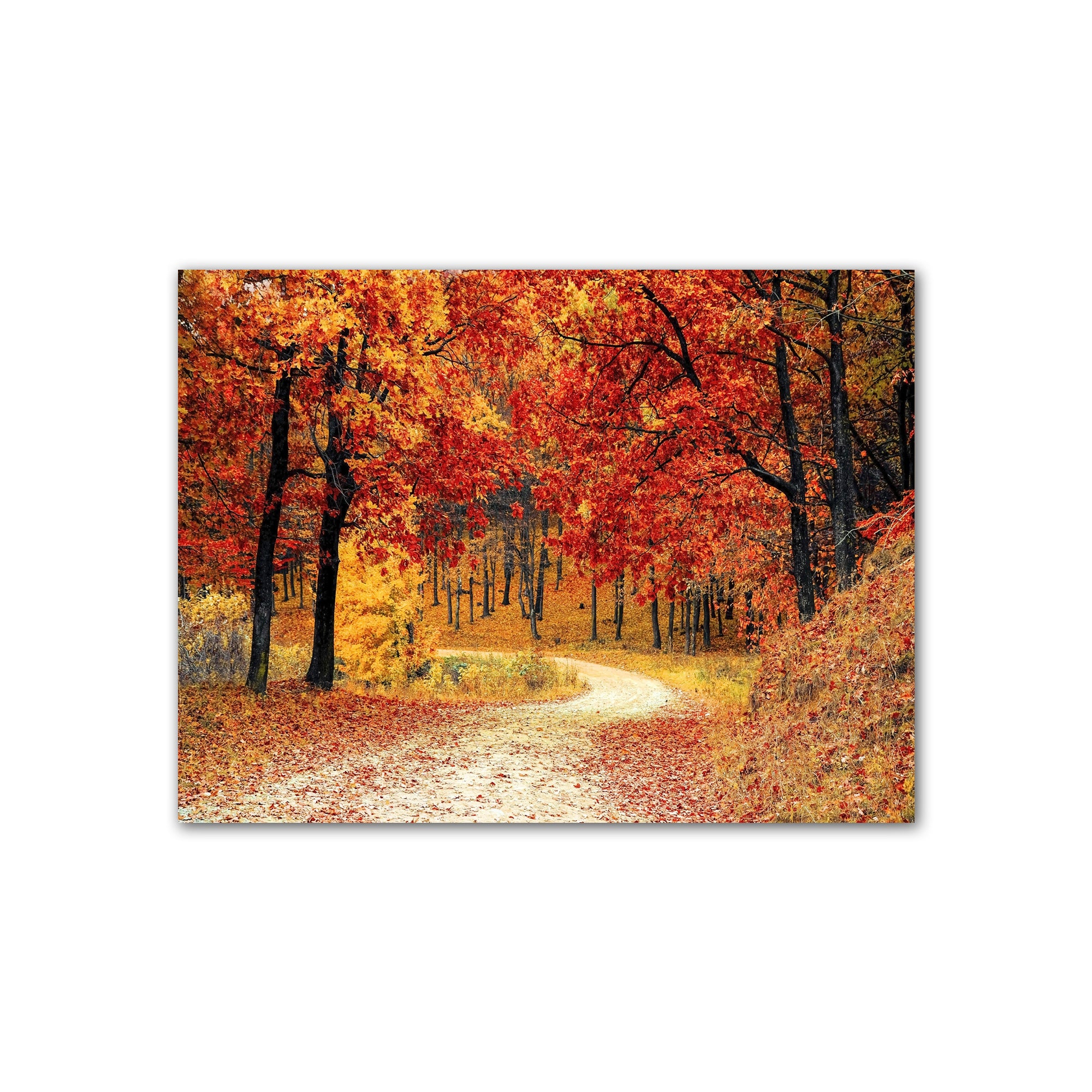 Autumn Path