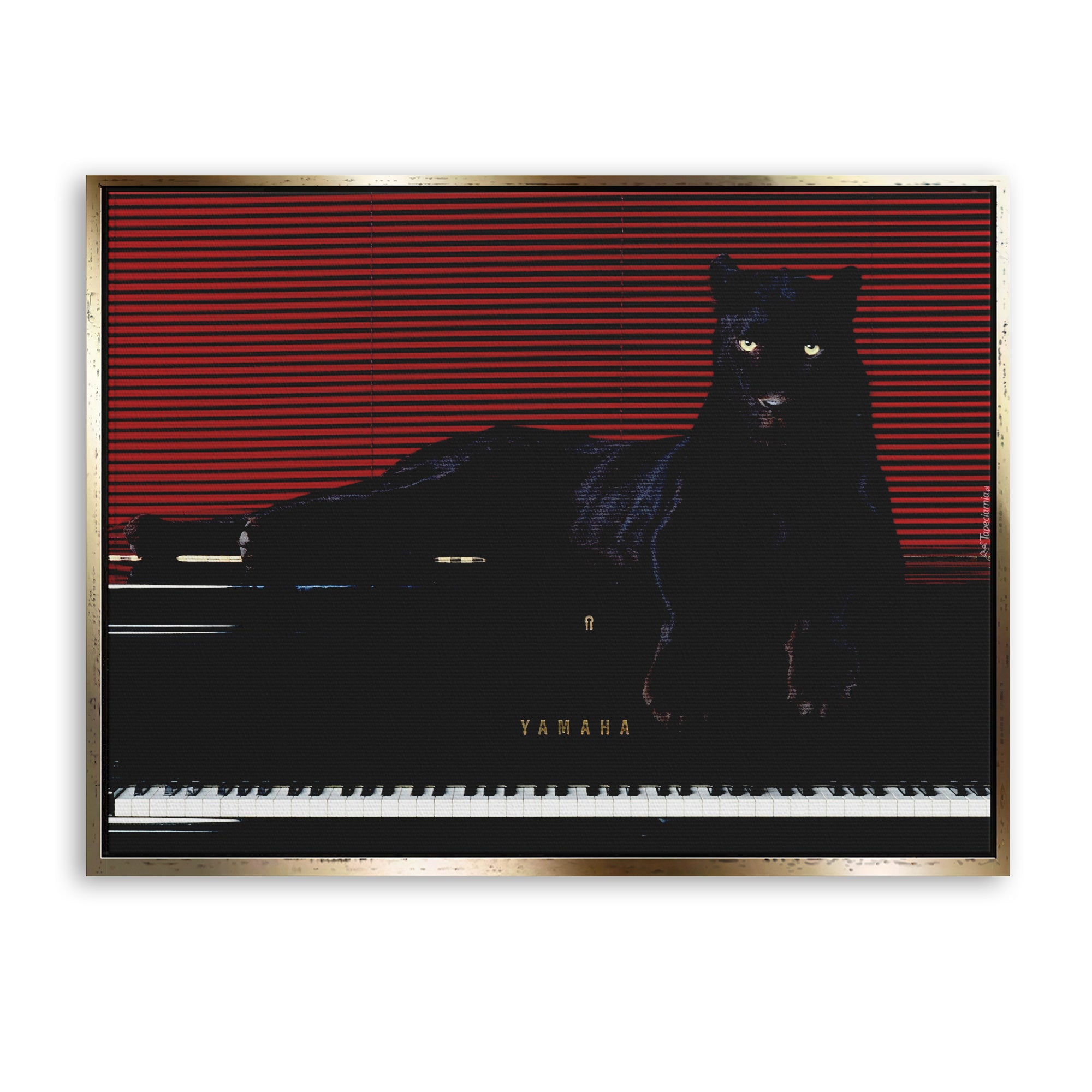 Predator’s Melody